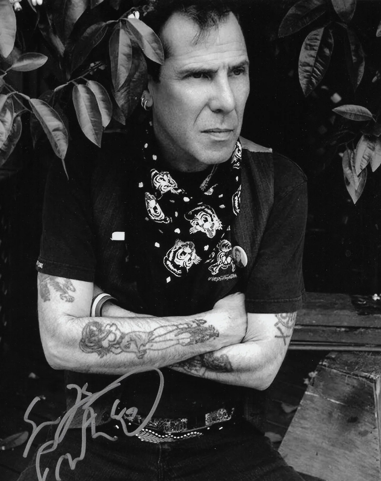 Slim Jim Phantom Stray Cats Drummer signed 8x10 photo proof COA autographed, image 2