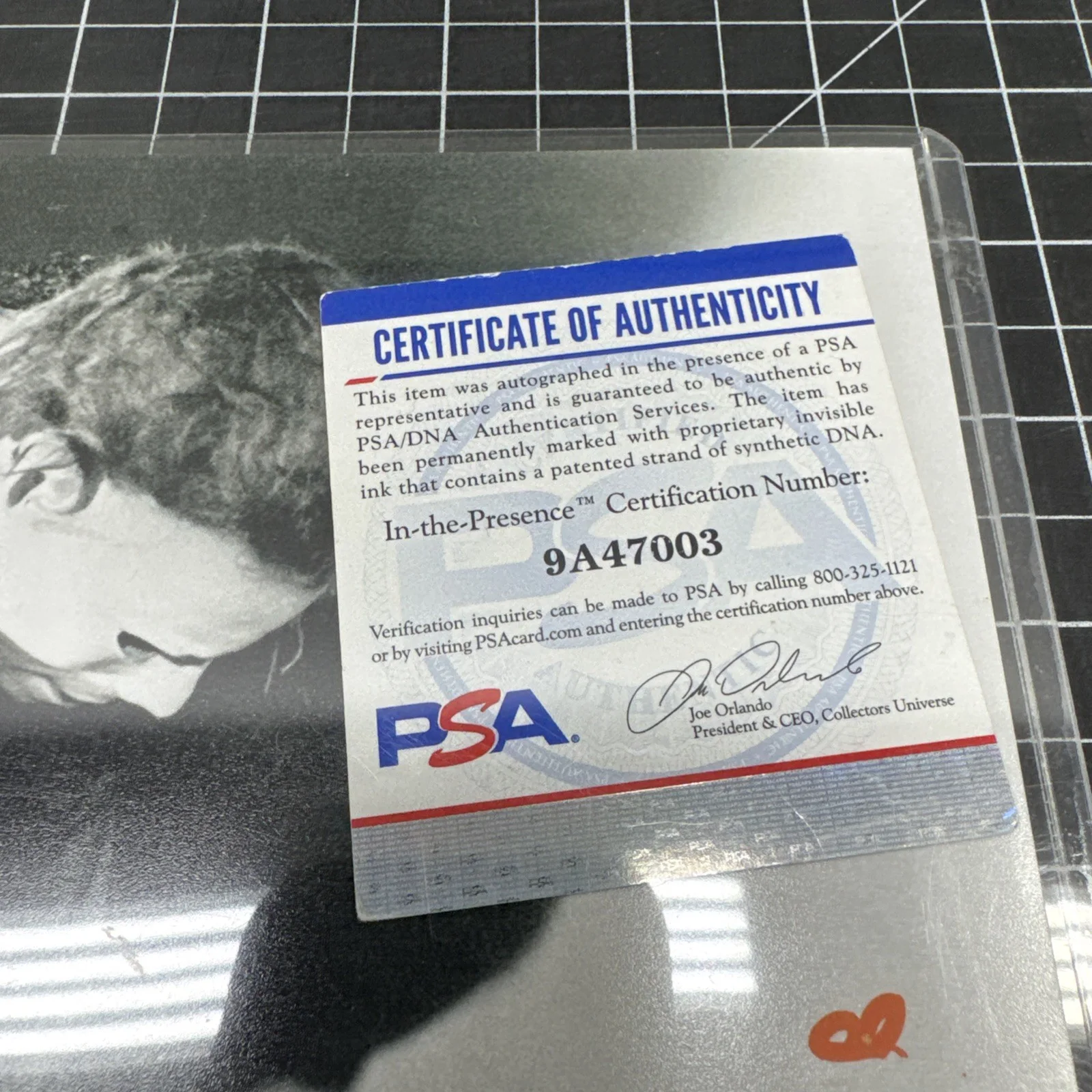 pj soles — PJ SOLES Signed Michael Myers 10x13 Photo Shape HALLOWEEN PSA COA H2, image 5