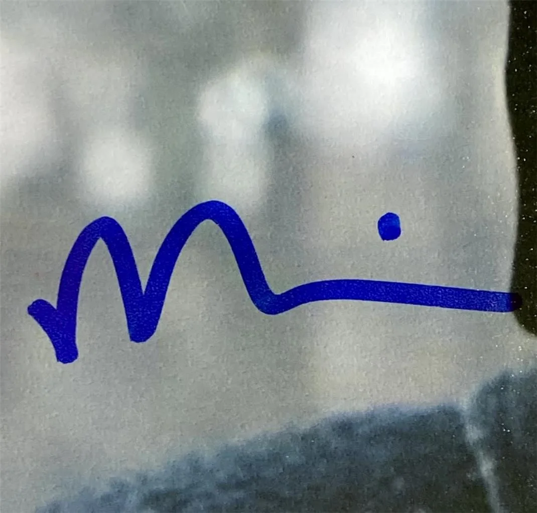 Fred Armisen signed Wednesday Uncler Fester 8x10 Photo autograph ~ Beckett BAS, изображение 2