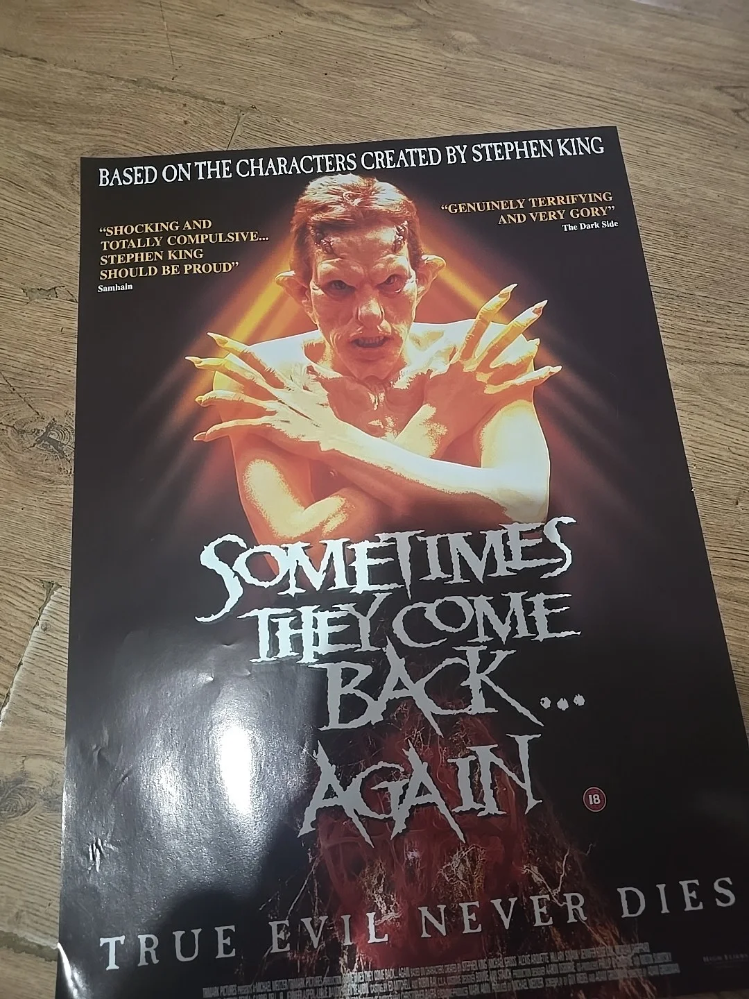 Sometimes They Come Back Again Original Video Shop VHS Poster Rare, изображение 3