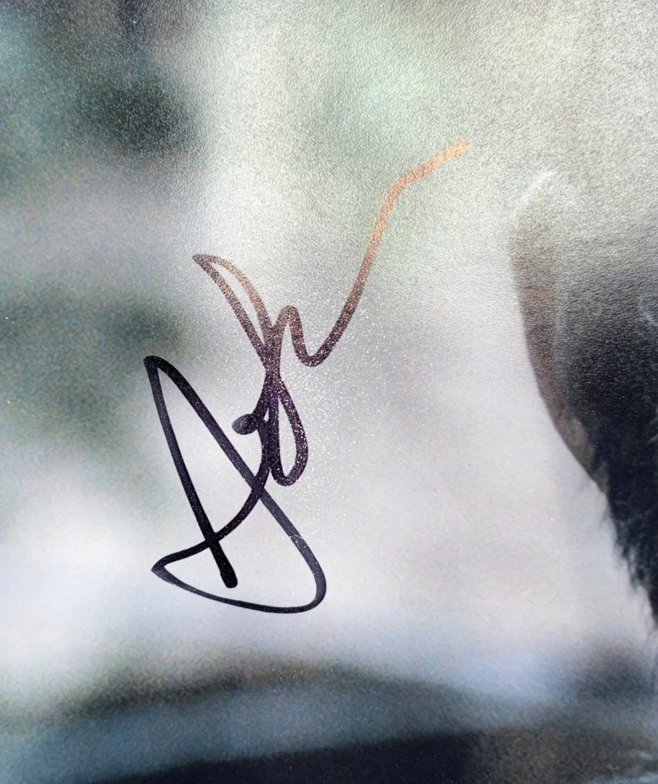 Andy Serkis — Andy Serkis Signed 11x14 Dawn of the Planet of the Apes Photo PSA Cert (AG80343), изображение 2