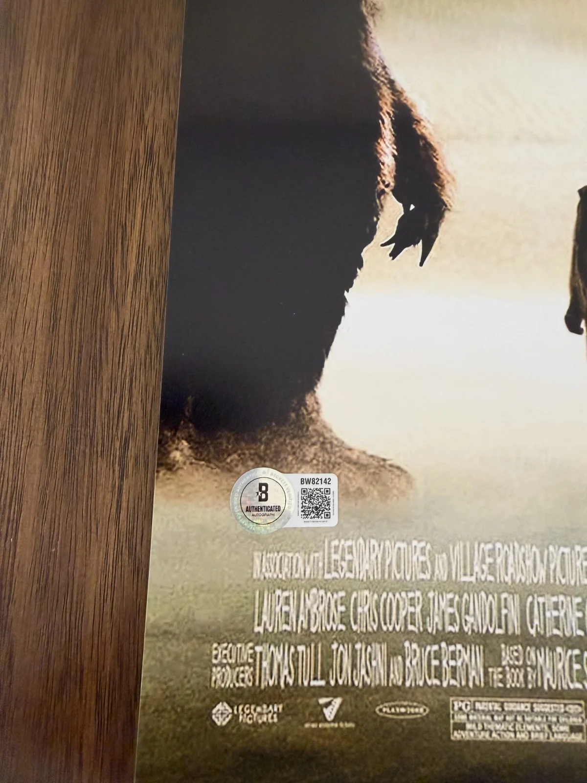 Spike Jonze ‘Where The Wild Things Are' Director Signed 12x18 Photo Beckett, image 2