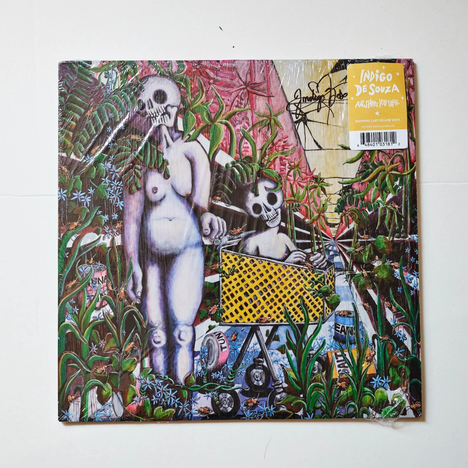 Indigo De Souza signed Any Shape You Take LP Vinyl Album, image 2