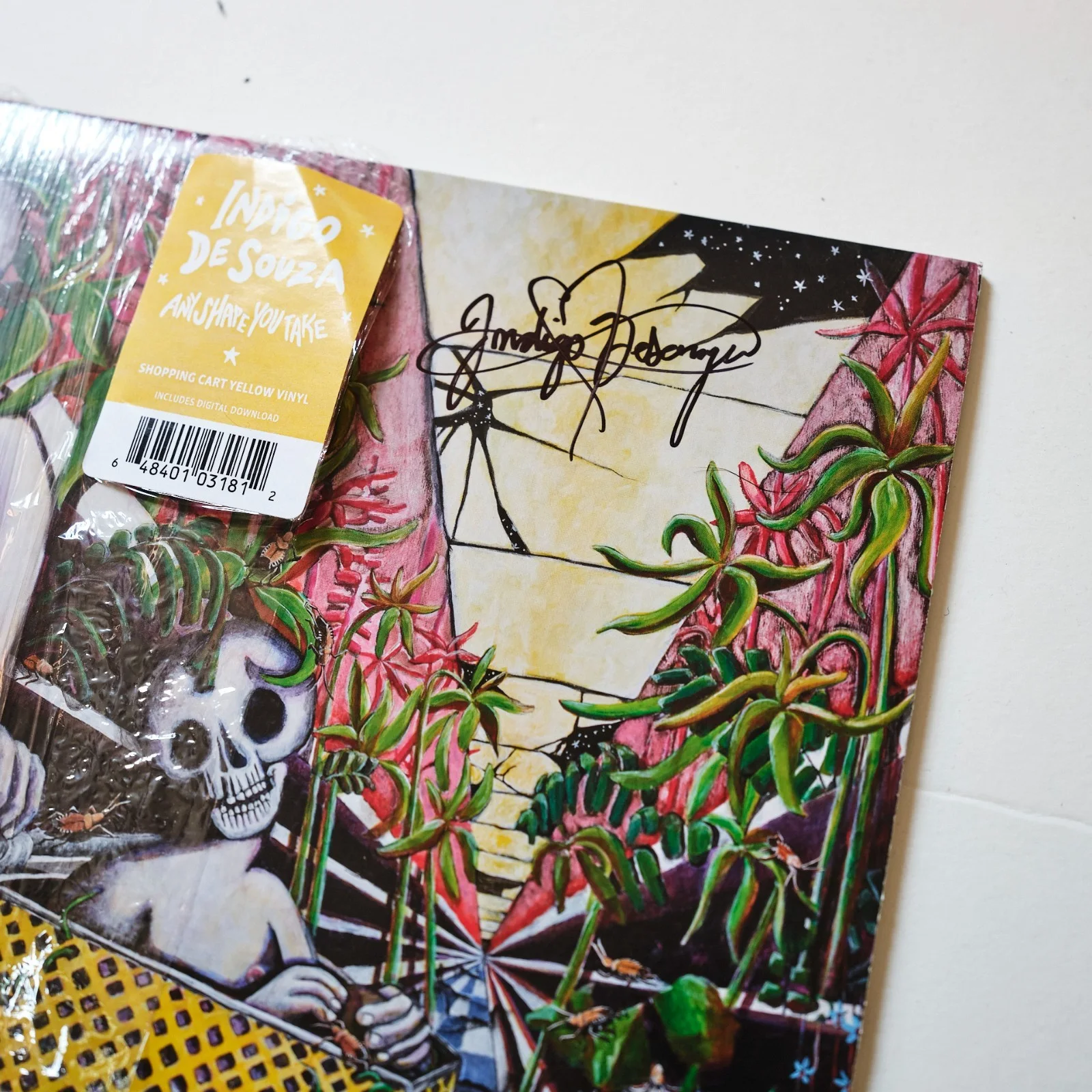 Indigo De Souza signed Any Shape You Take LP Vinyl Album, image 3