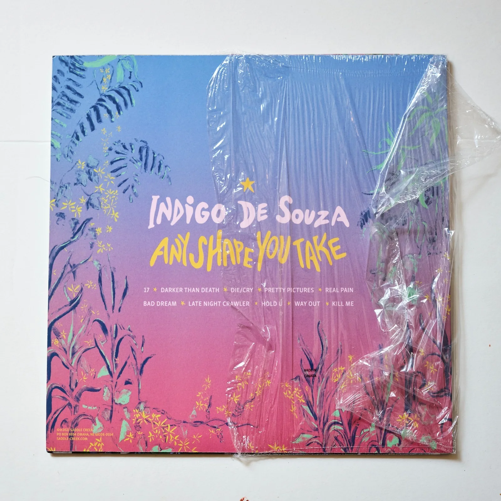 Indigo De Souza signed Any Shape You Take LP Vinyl Album, image 4