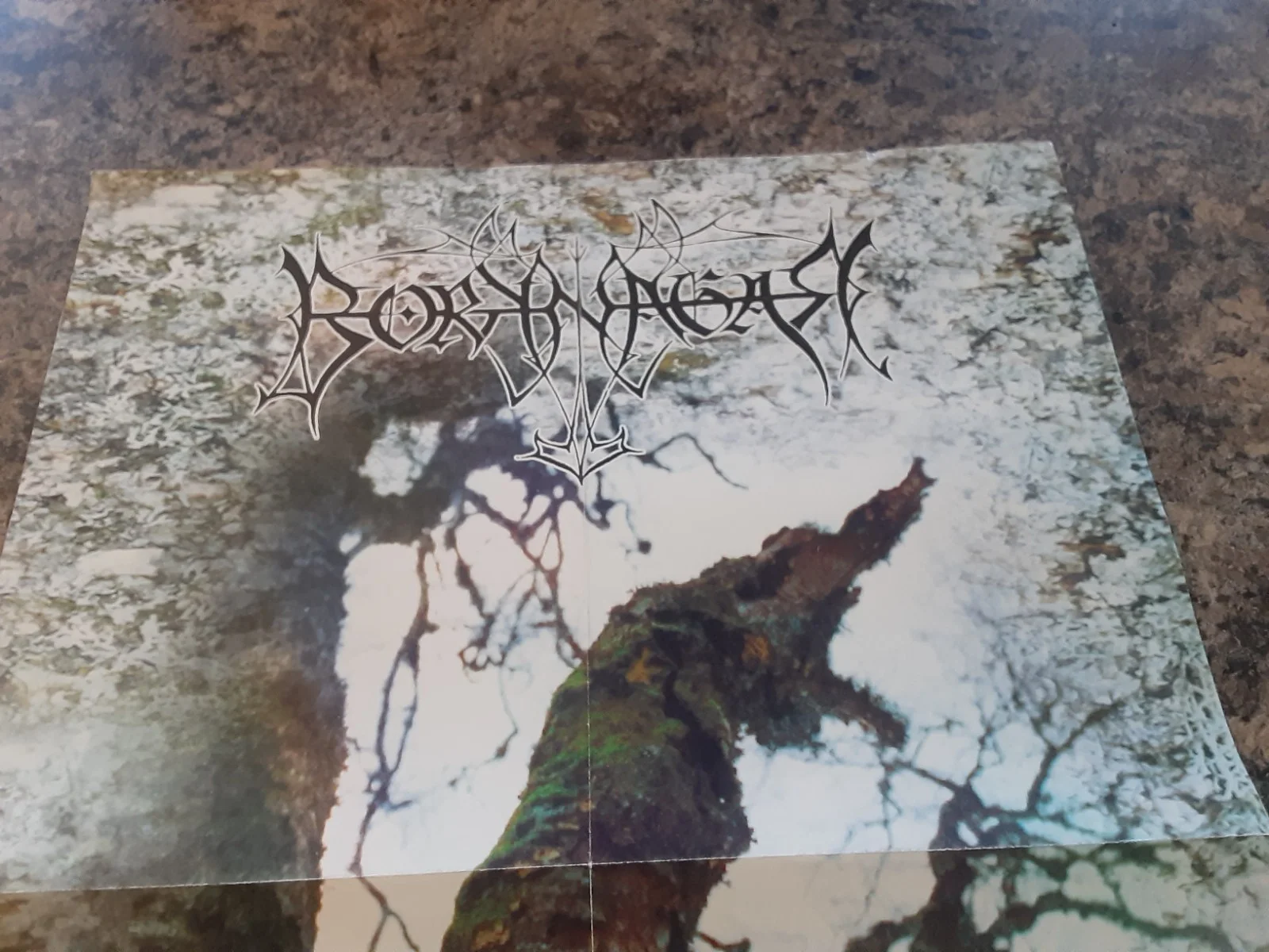 Borknagar The Olden Domain Century Media Records Promo Poster Original 16.5x23.5, изображение 2