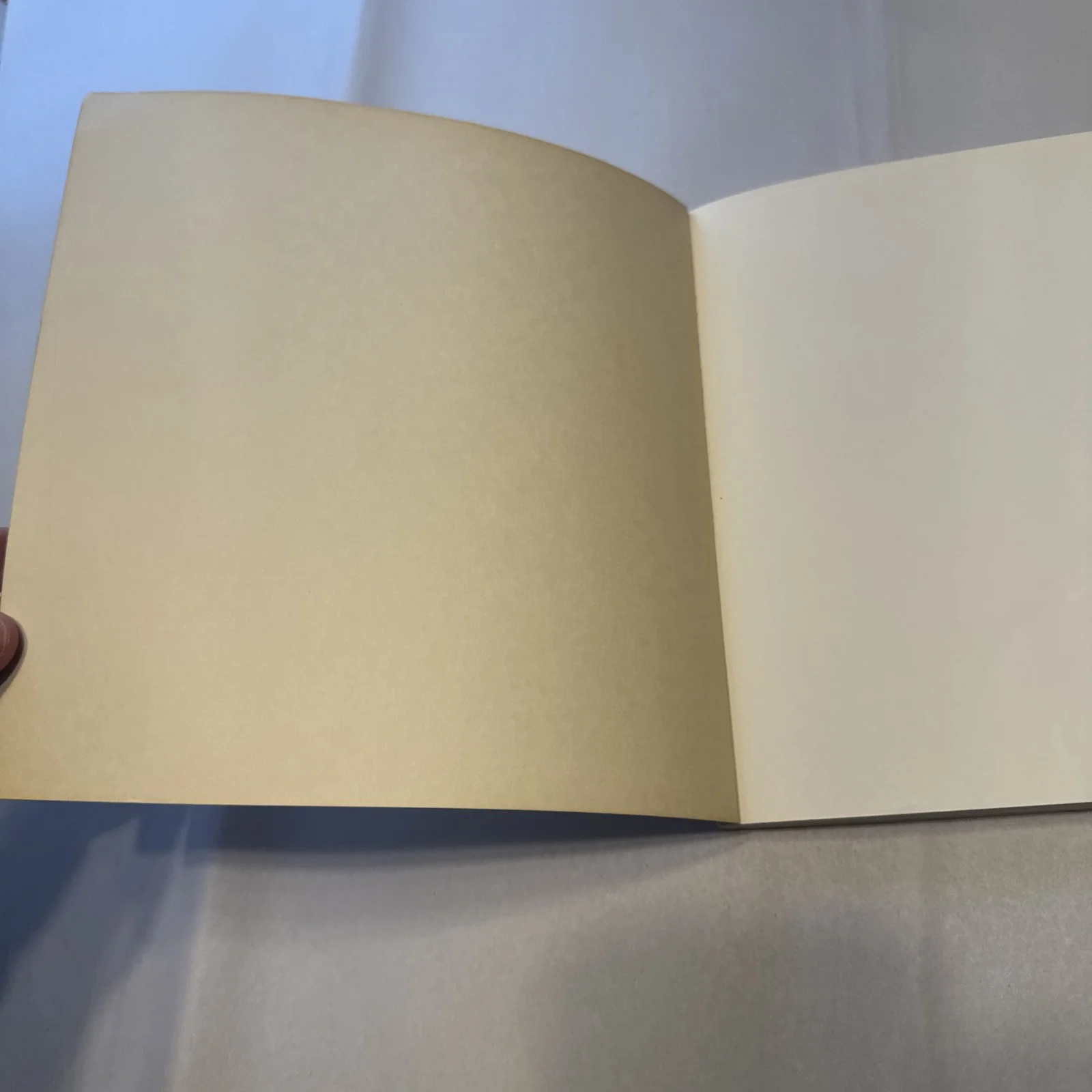 Harry Chapin — Harry Chapin Signed Looking Seeing Poem & Song Lyrics Book, 1975, 1st Edition, image 5