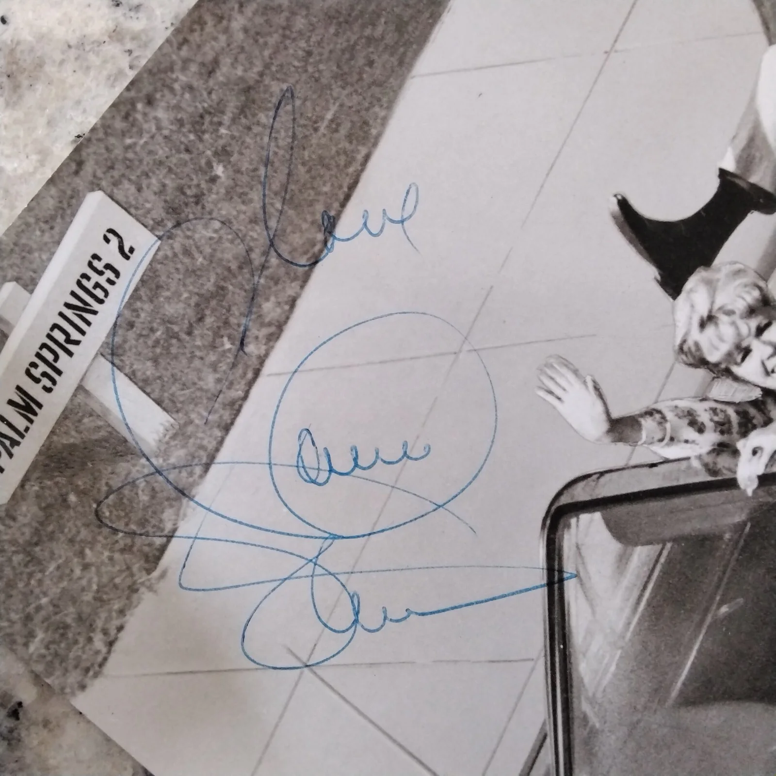 Connie Stevens SIGNED Photo 60s Film TV Actress Palm Springs Weekend Cast Conrad, изображение 4
