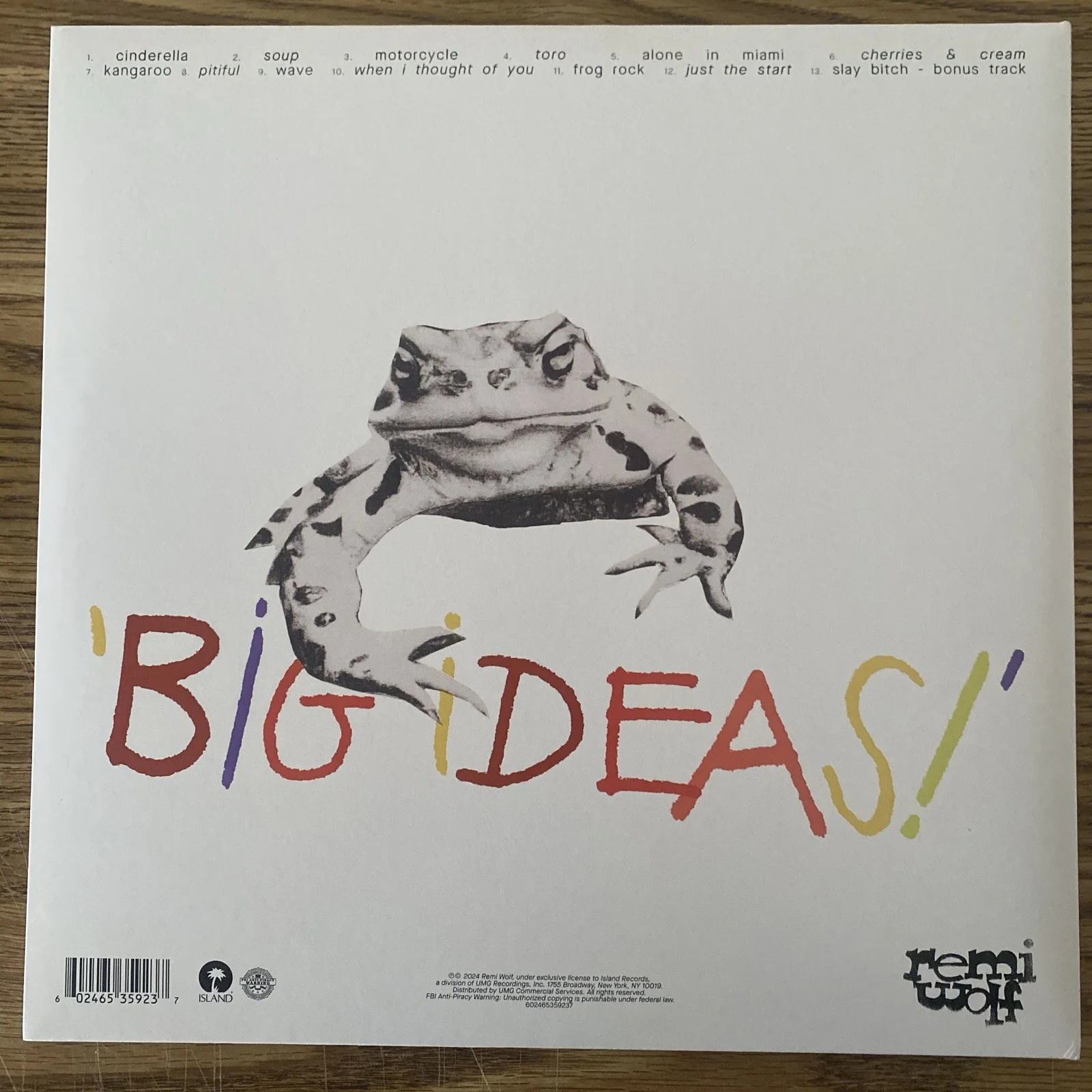 Remi Wolf Autographed Vinyl Album ‘Big ideas’ Signed Insert included, image 4