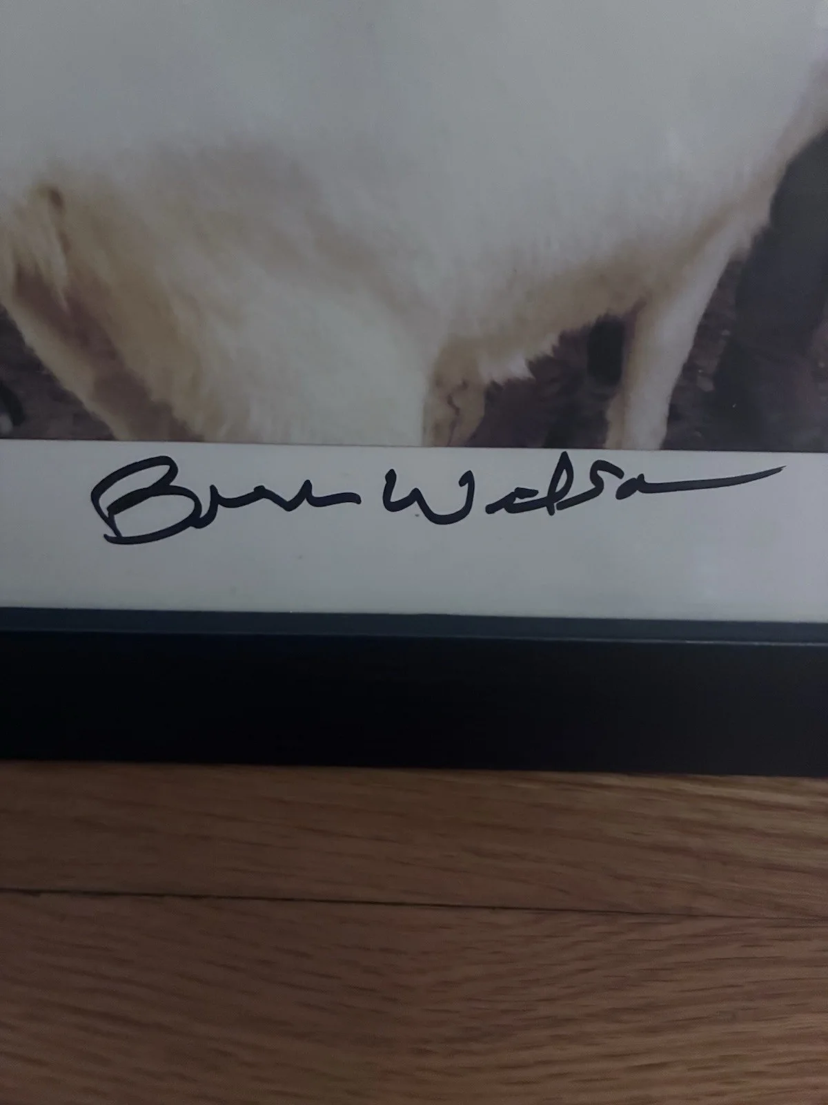 THE BEACH BOYS SMiLE Litho Signed Brian Wilson Autograph Pet Sounds Framed, изображение 2