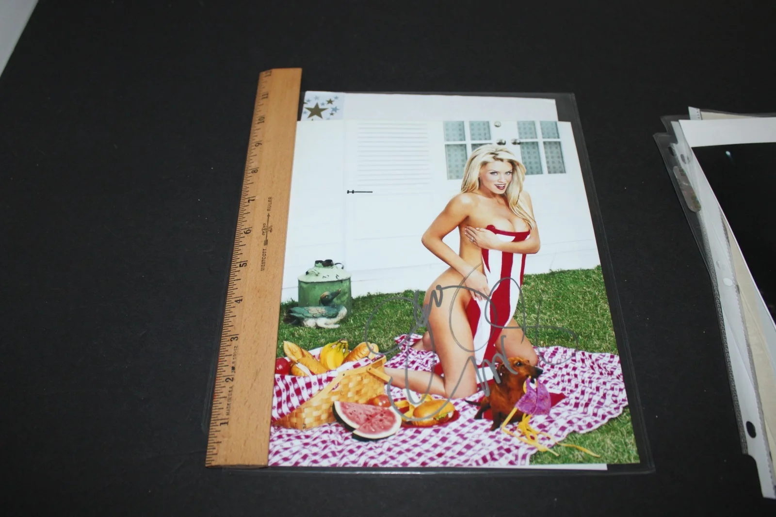Jenny McCarthy — JENNY MCCARTHY Signed 8 x 10 Photo Coa Picnic Fruit & Towel, изображение 2
