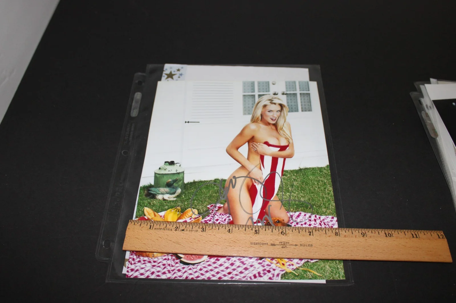 Jenny McCarthy — JENNY MCCARTHY Signed 8 x 10 Photo Coa Picnic Fruit & Towel, изображение 4