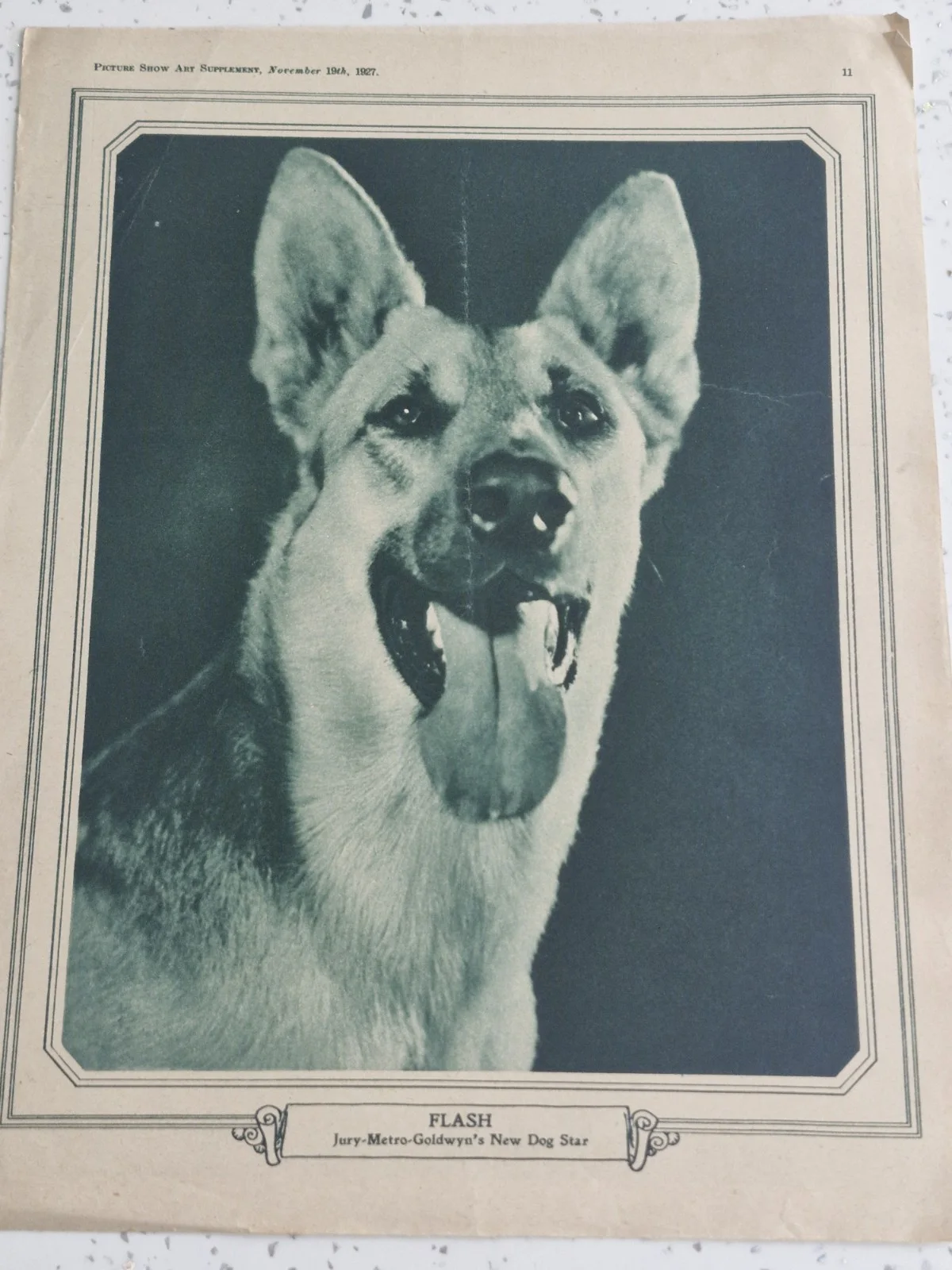CENTREFOLD" GLORIA SWANSON ALSO FLASH THE DOG" 1927 PICTURE SHOW ART SUPPLEMENT, image 2