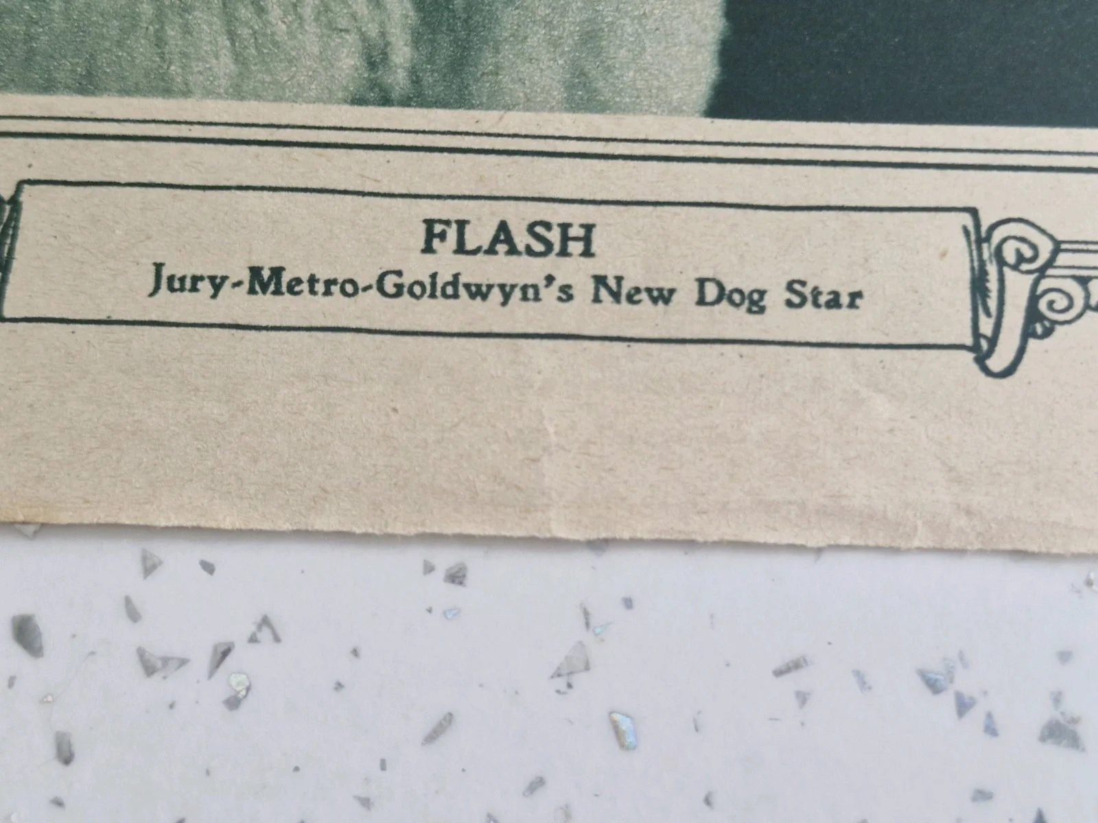 CENTREFOLD" GLORIA SWANSON ALSO FLASH THE DOG" 1927 PICTURE SHOW ART SUPPLEMENT, image 3