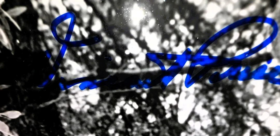 Vincent Price — THE FLY .Vincent Price with Charles Herbert SIGNED 8X10 with UACC COA . classic, изображение 5