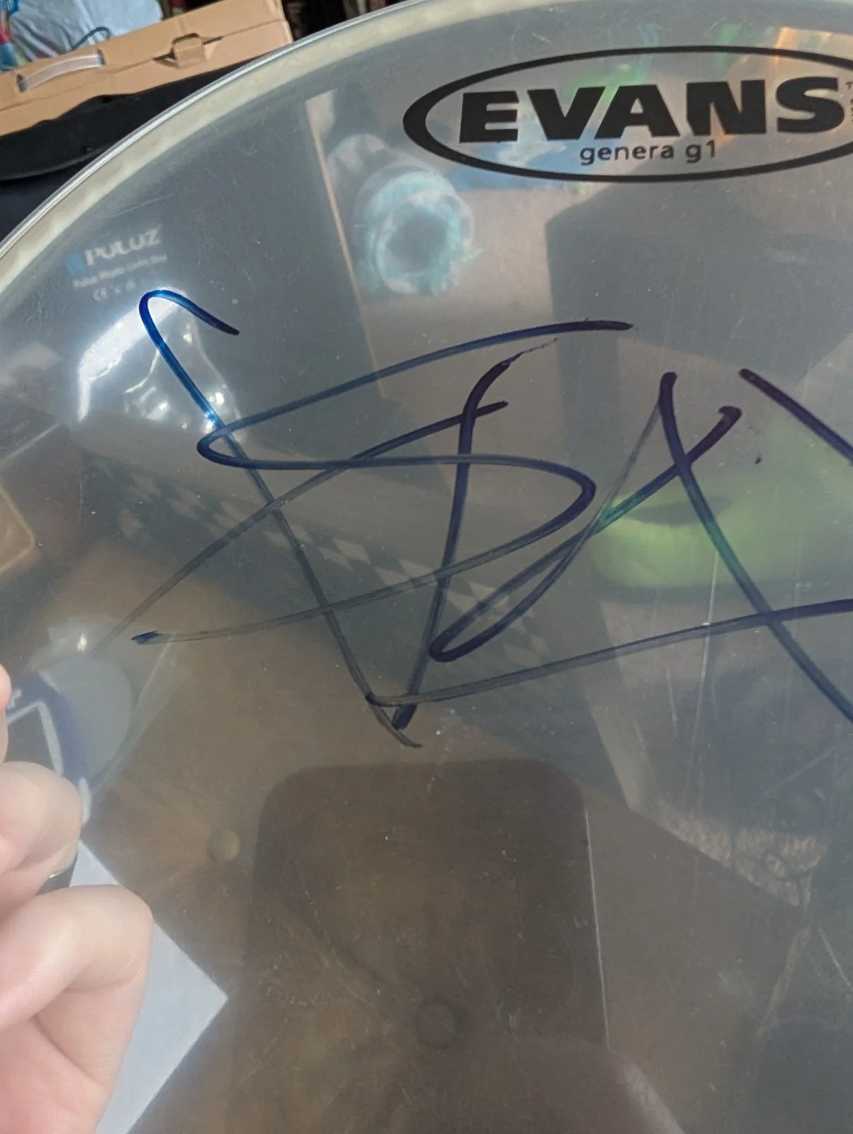 Blink 182 Travis Barker Signed Evans Genera G1 Drum Head, image 2
