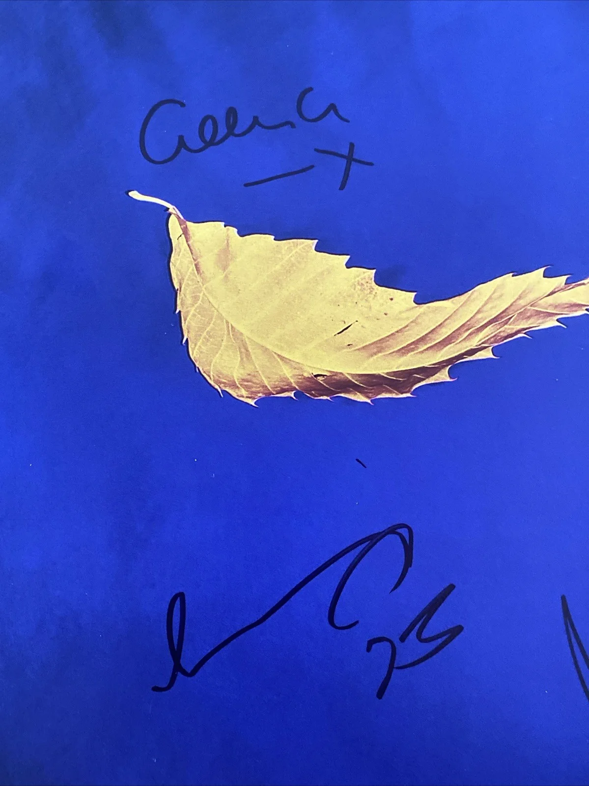New Order Band Autographed Vinyl Album ‘True Faith' Bernard, Stephan & Gillian, изображение 2