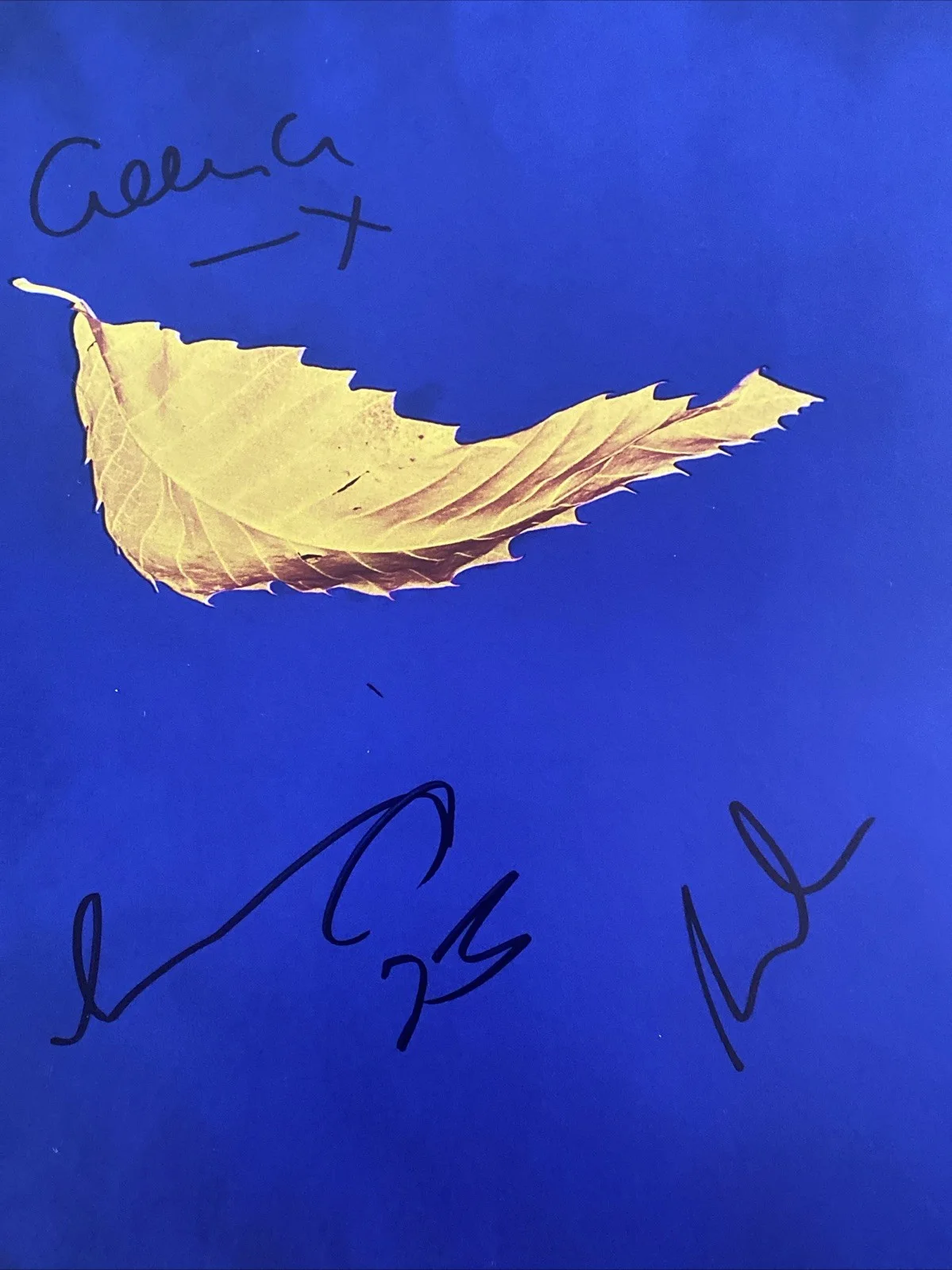 New Order Band Autographed Vinyl Album ‘True Faith' Bernard, Stephan & Gillian, изображение 3