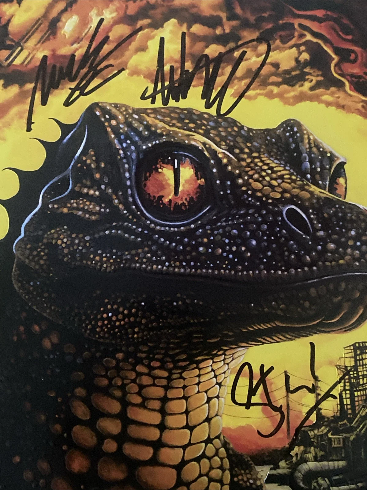 King Gizzard & The Lizard Wizard Band Autographed Vinyl PetroDragonic Apocalypse, image 2