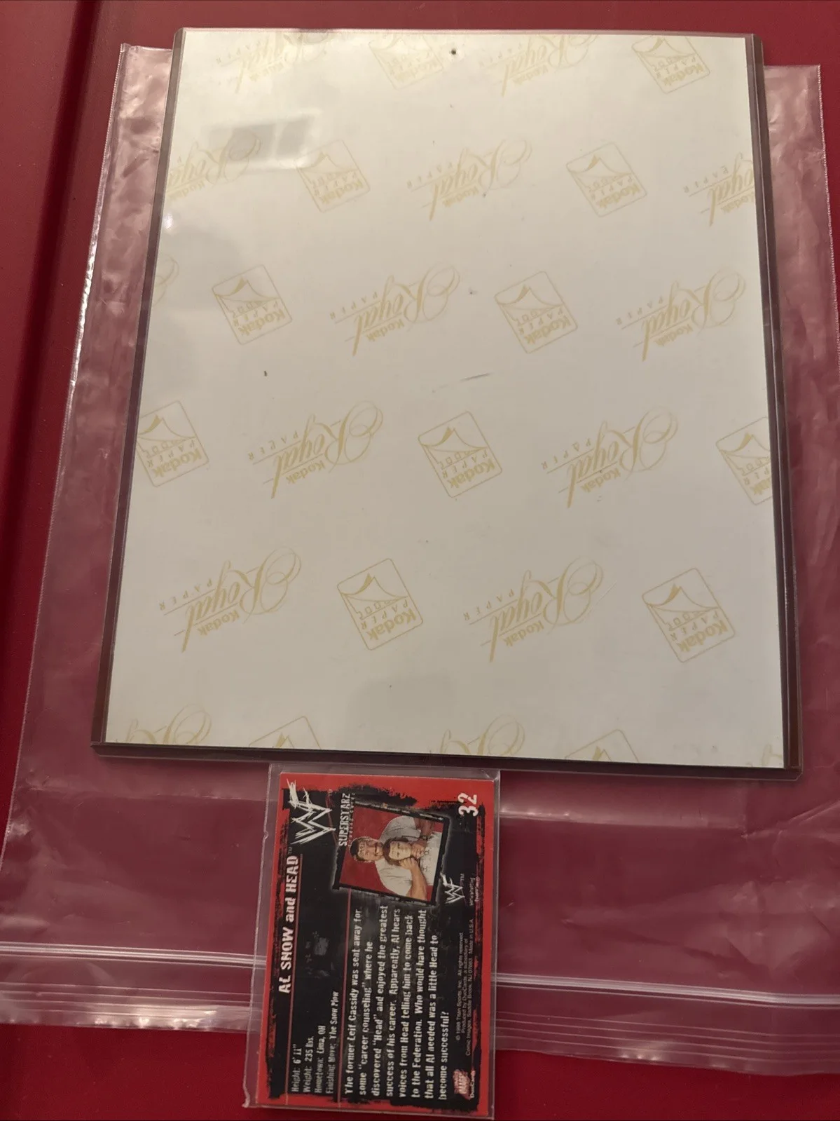 Al Snow — Al Snow and Head Authentic Autograph 8" x 10" WWE WWF Wrestling JOB Squad + Card, изображение 2