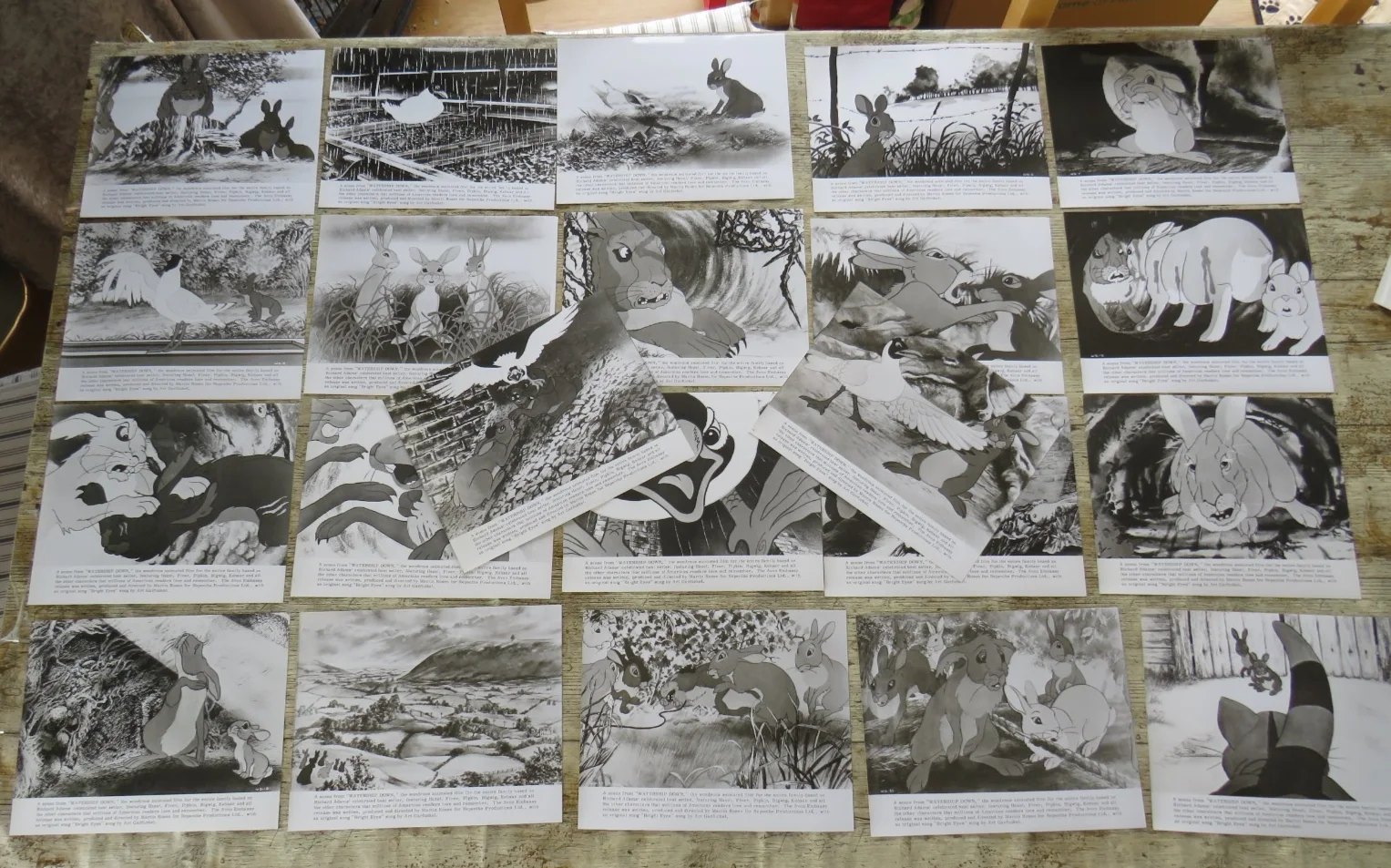 WATERSHIP DOWN ORIGINAL 1978 CINEMA FILM MOVIE PRESS KIT 22 PHOTOS SUPER RARE !, изображение 5