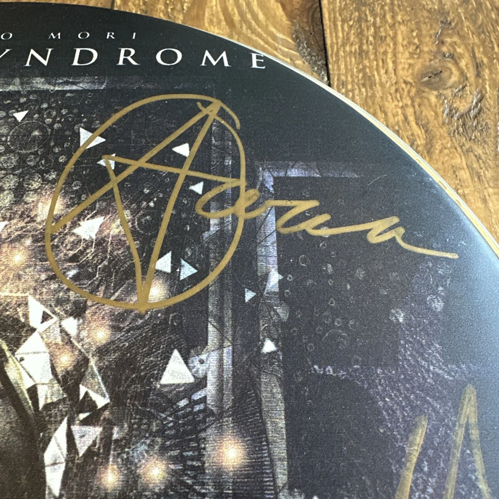 Gemini Syndrome Signed Evan’s 10” Drumhead 5 Band Members, image 2