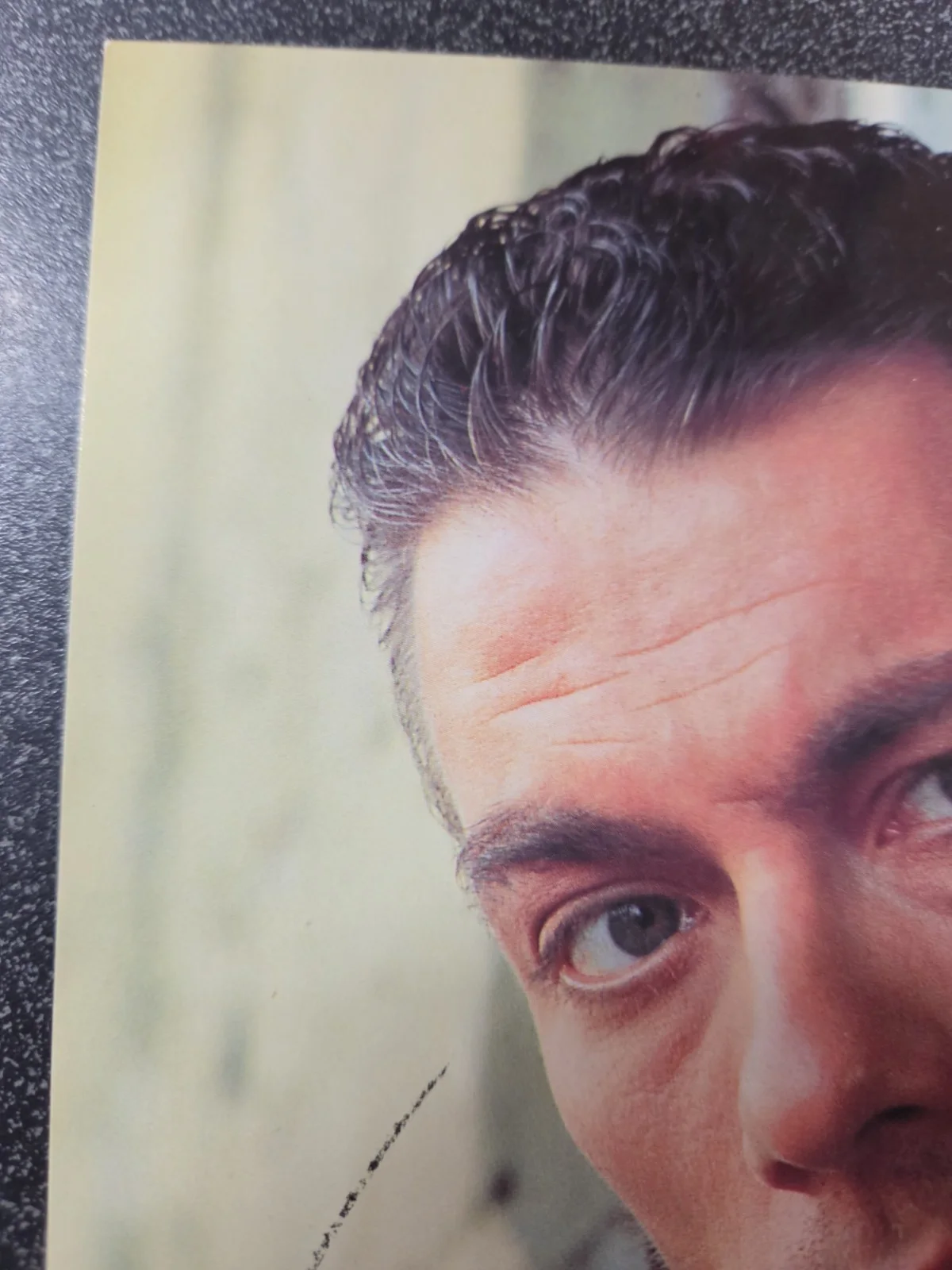 Jean-Claude Van Damme Signed 8x10, image 4