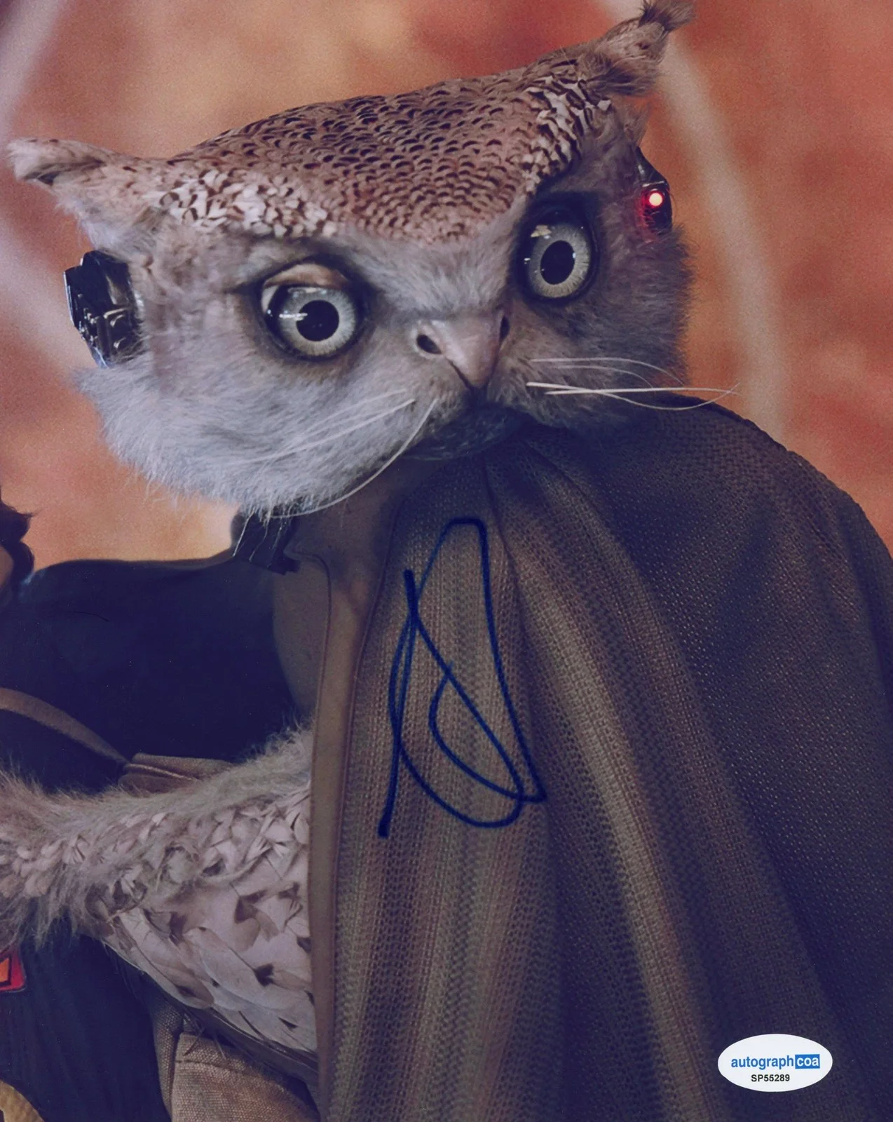 Alia Shawkat — Alia Shawkat "Skeleton Crew" AUTOGRAPH Signed Star Wars 'Kh'ymm' 8x10 Photo ACOA, изображение 2