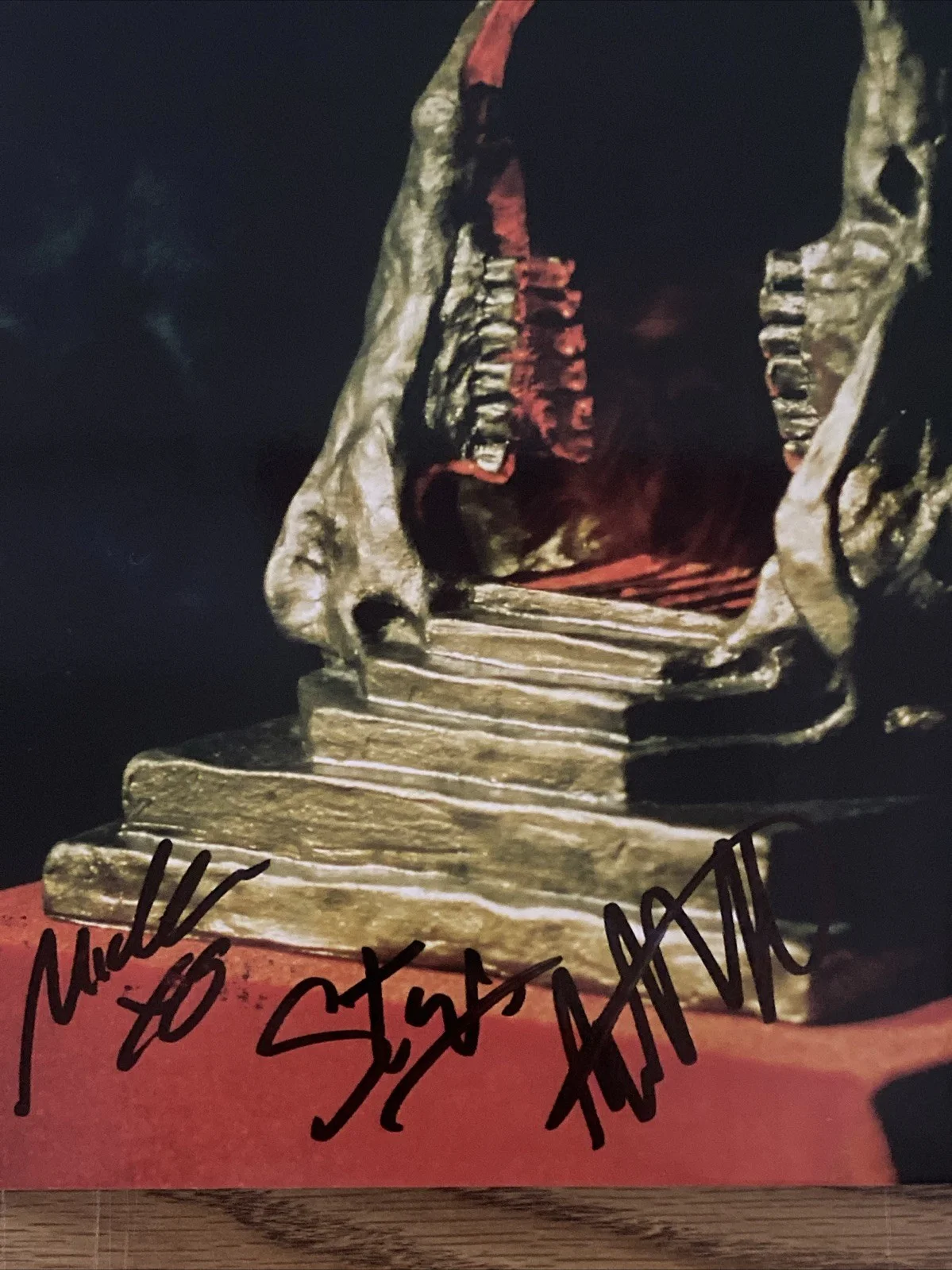 King Gizzard & The Lizard Wizard Band Autographed Vinyl Infest The Rats' Nest, image 2