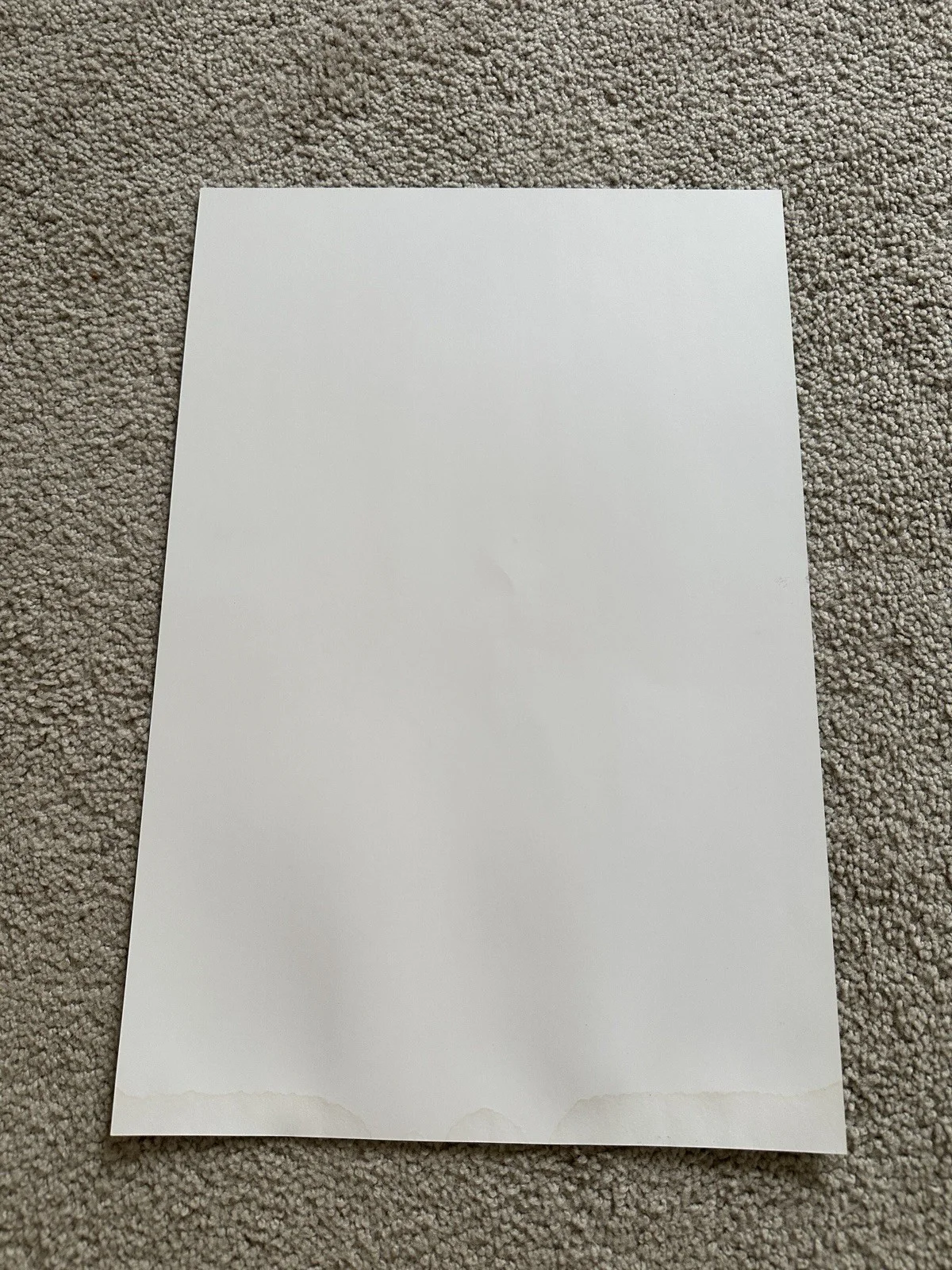 RARE Trippie Redd x Juice wrld Chicago Concert Poster 18x12, изображение 2