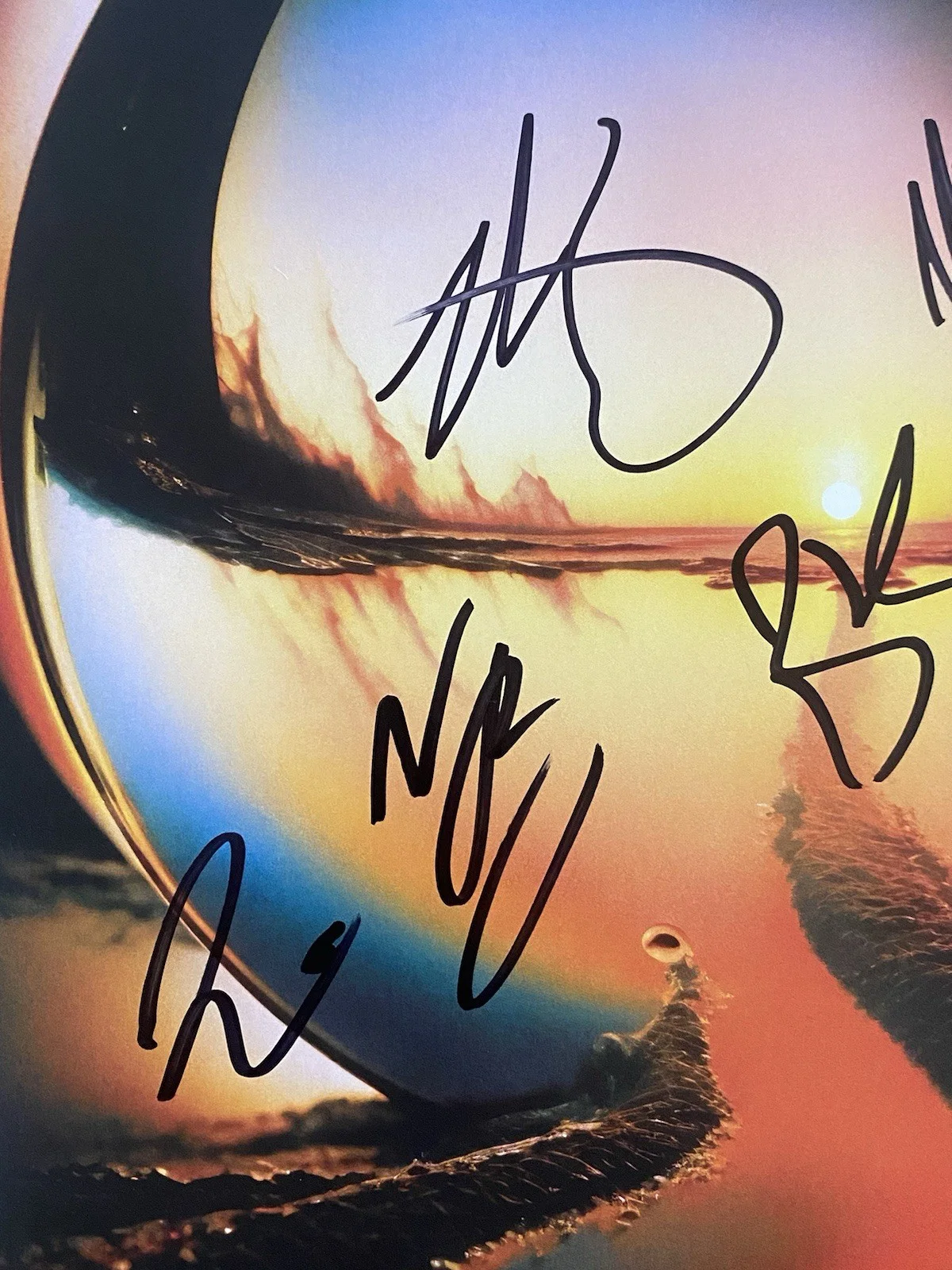 Cage The Elephant Band Autographed Vinyl Album Neon Pill Matt Shultz +5 RARE, изображение 2