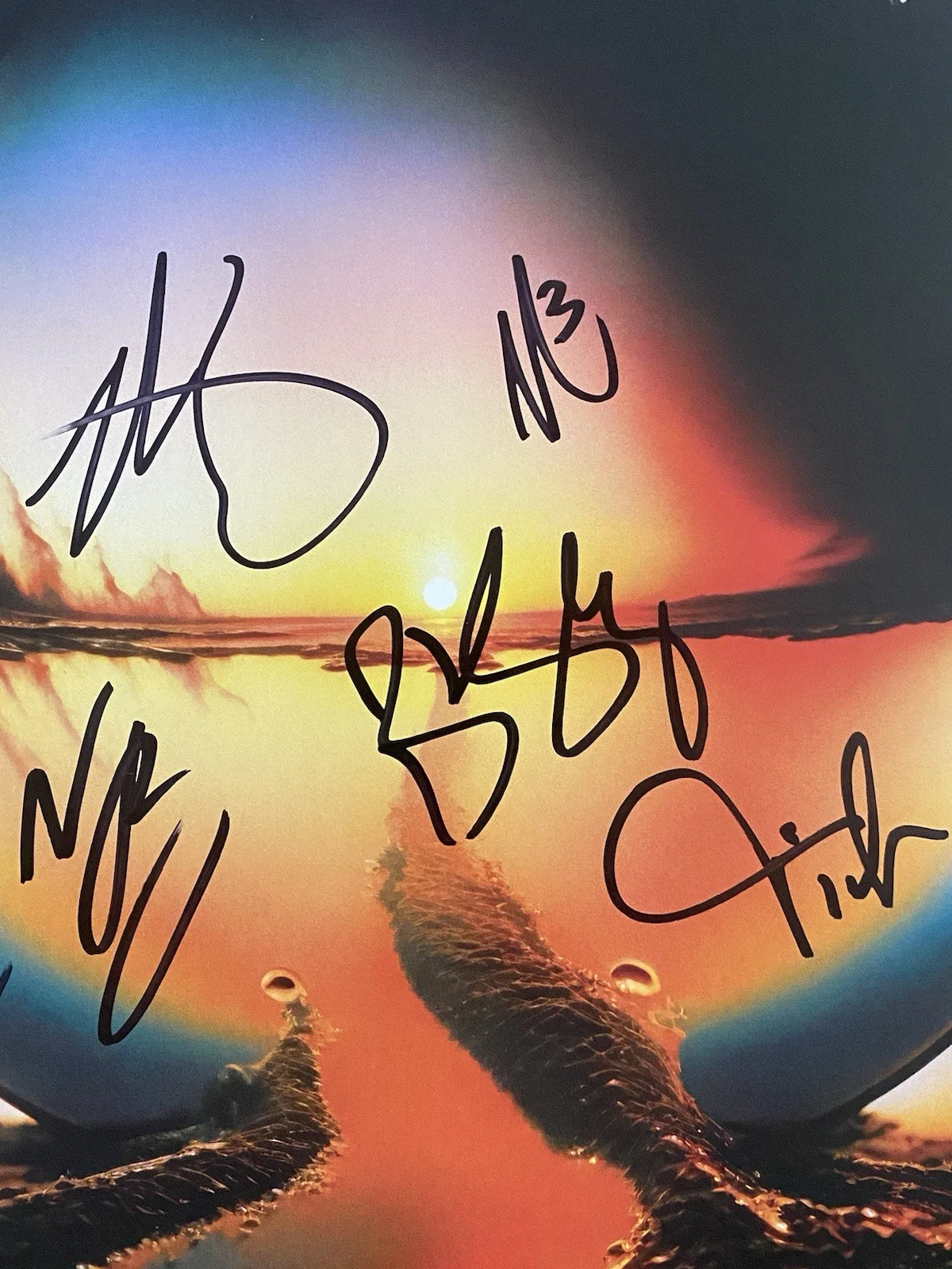 Cage The Elephant Band Autographed Vinyl Album Neon Pill Matt Shultz +5 RARE, изображение 3