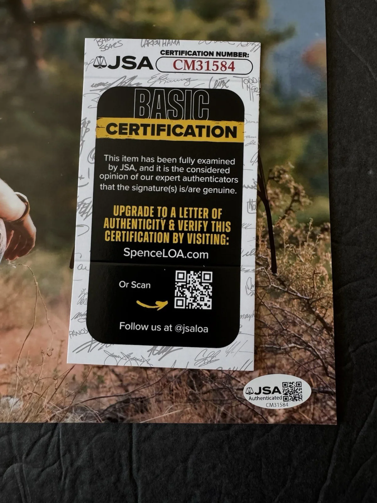 Emile Hirsch — Emile Hirsch Signed 8x10 Photo Into The Wild Autograph JSA COA Movie Actor, изображение 2