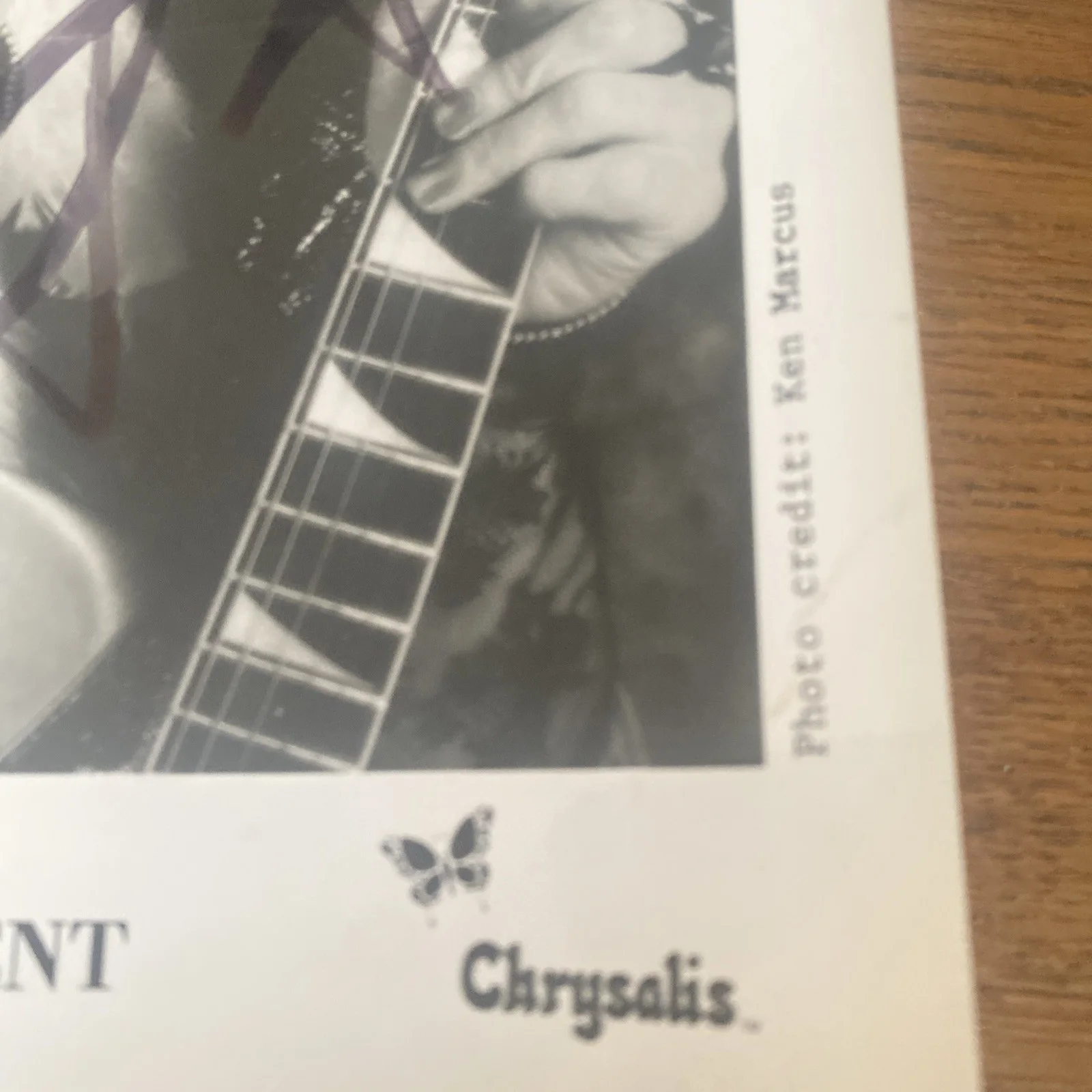 VINNIE VINCENT SIGNED SOLO 8x10 PHOTO KISS CREATURES Chrysalis Rare Original, image 4