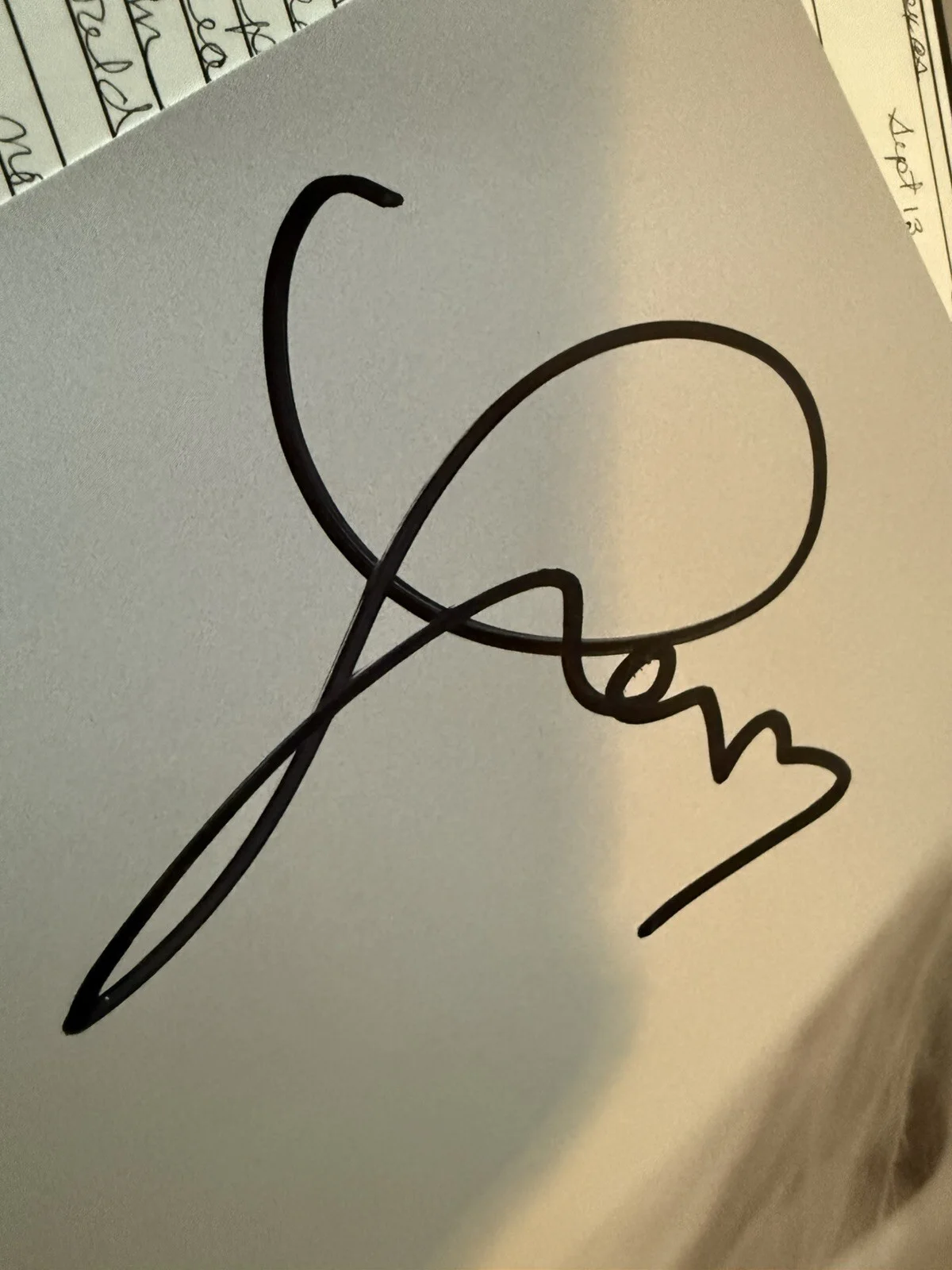 Taylor Swift Signed Vinyl The Tortured Poets Department TTPD With Heart, изображение 2