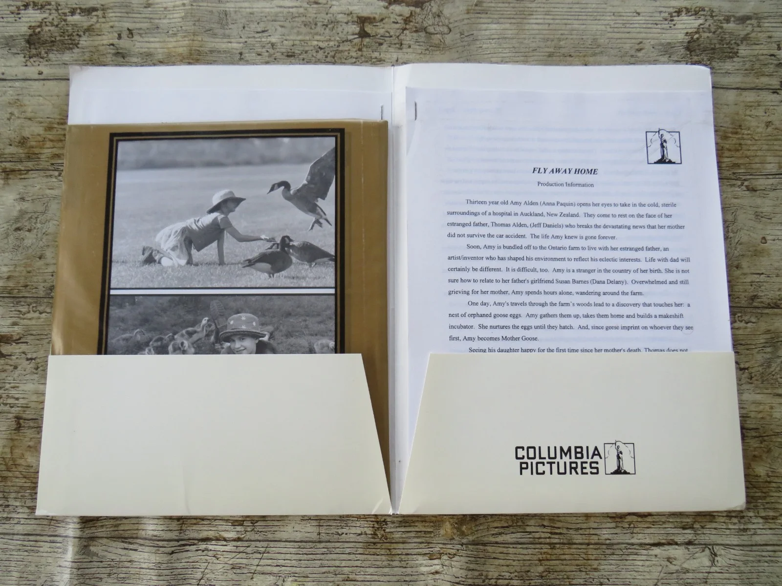 FLY AWAY HOME ORIGINAL 1996 CINEMA FILM MOVIE PRESS KIT Jeff Daniels 7 PHOTOS, изображение 2