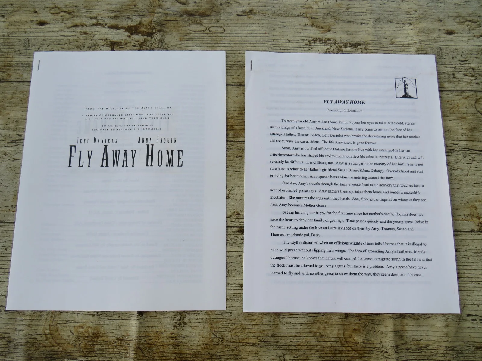 FLY AWAY HOME ORIGINAL 1996 CINEMA FILM MOVIE PRESS KIT Jeff Daniels 7 PHOTOS, изображение 3