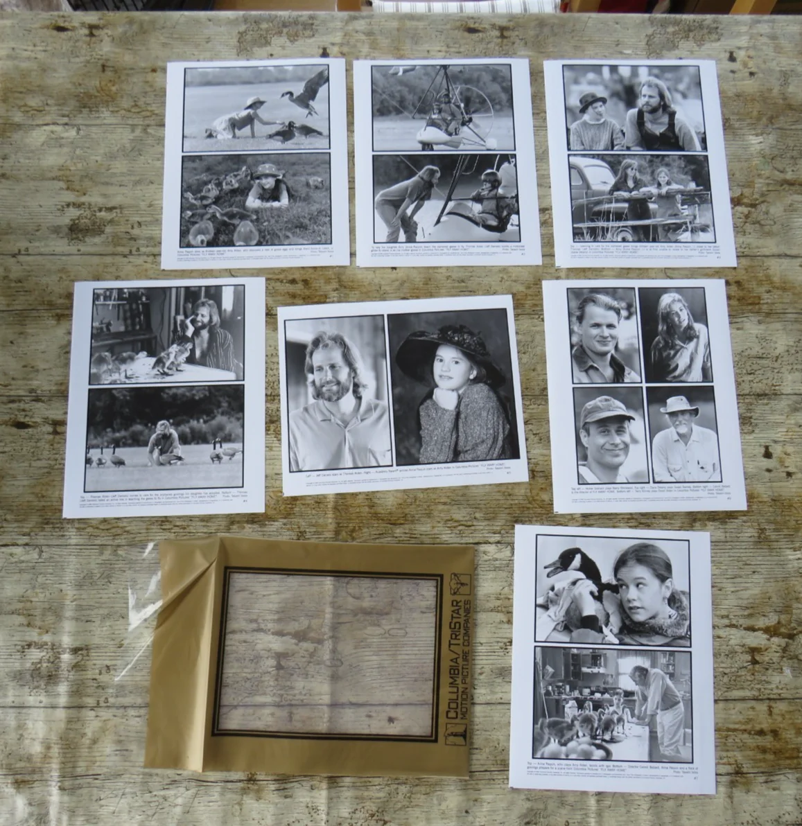 FLY AWAY HOME ORIGINAL 1996 CINEMA FILM MOVIE PRESS KIT Jeff Daniels 7 PHOTOS, изображение 5