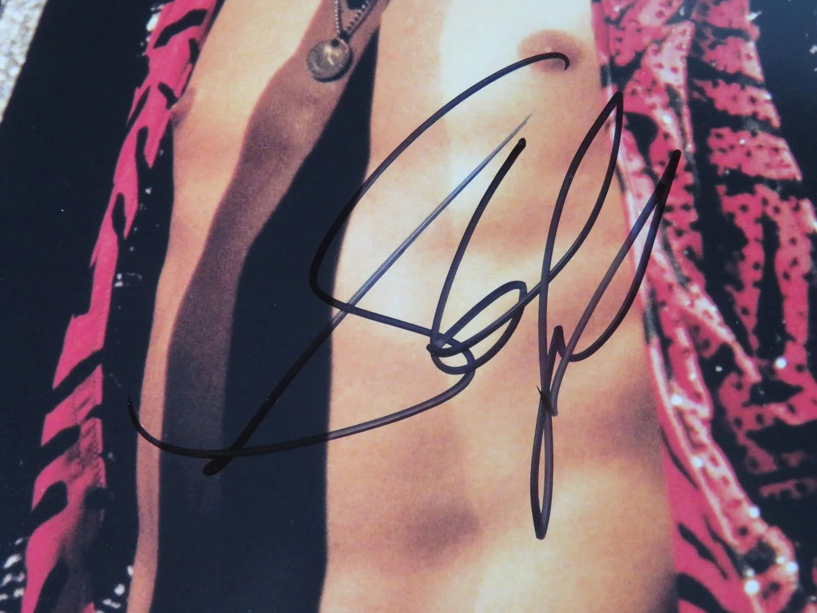 Steven Tyler AEROSMITH Signed Autograph Auto 11x14 Photo JSA BAS, изображение 2