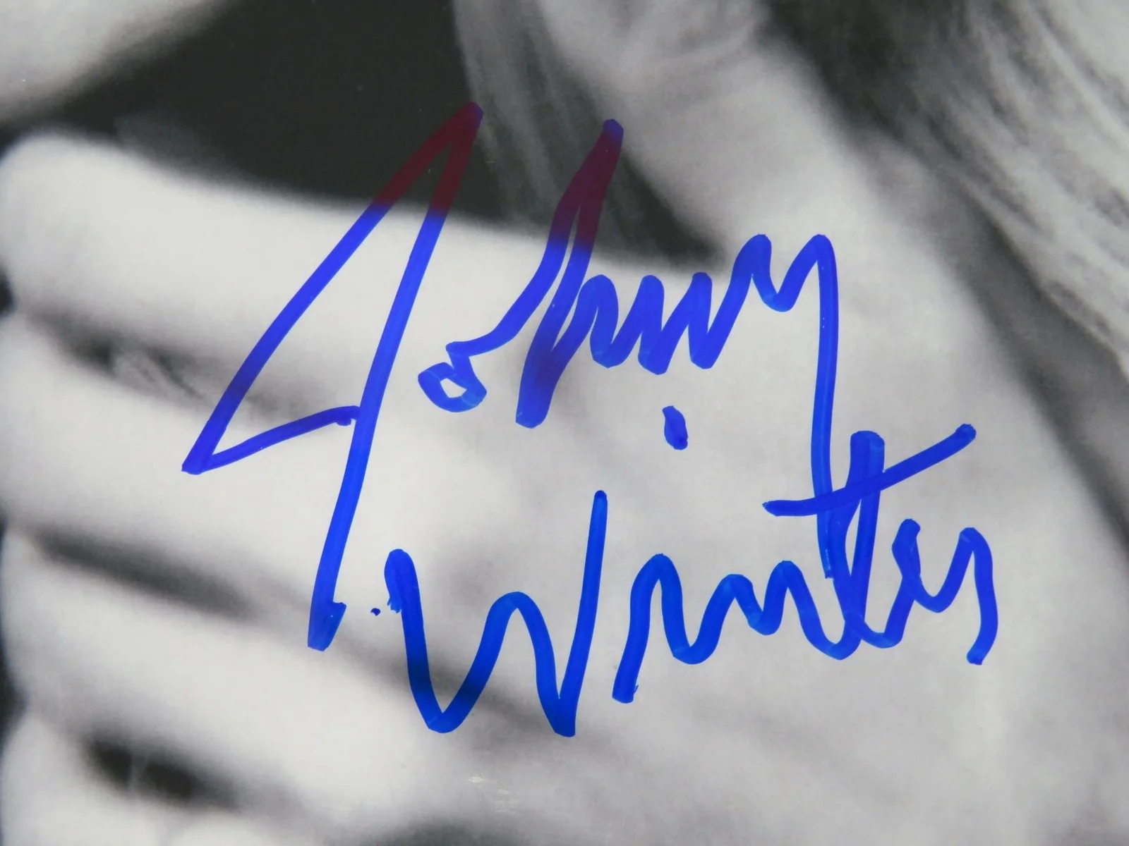 JOHNNY WINTER Signed Autograph Auto 8x10 Photo JSA, image 2