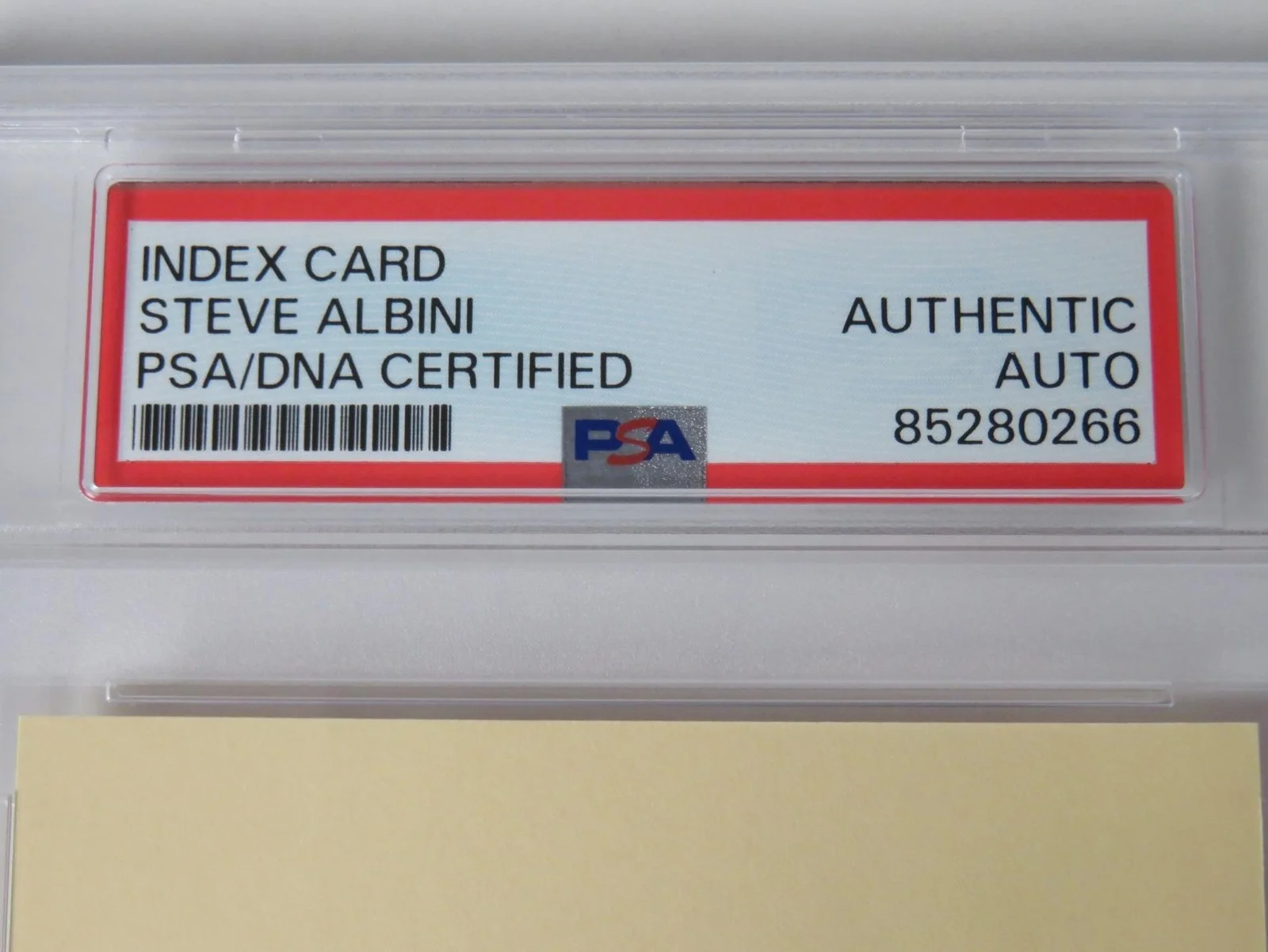 Steve Albini BIG BLACK NIRVANA Signed Autograph Auto 3x5 Index Card Slab PSA JSA, image 5