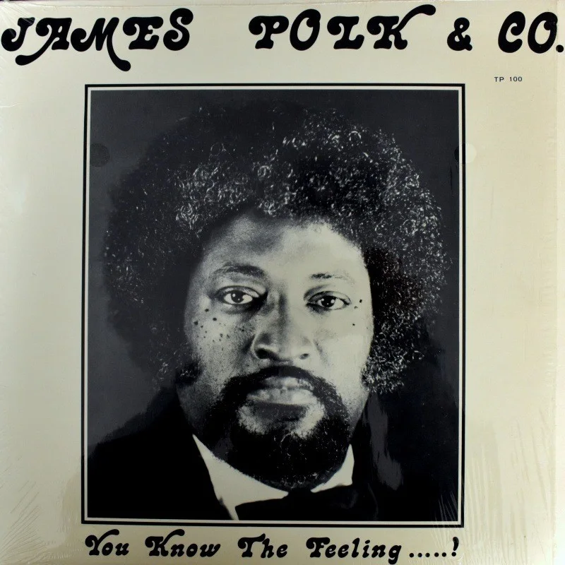[James Polk & Co.] You Know The Feeling...! LP Record, image 4
