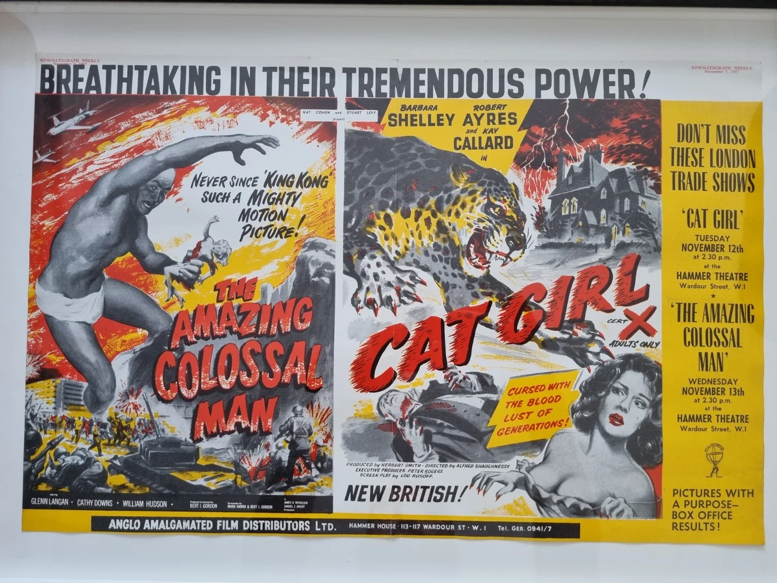 Vintage Horror Poster Amazing Colossal Man & Cat Girl 1957 Kinematograph Weekly, изображение 2