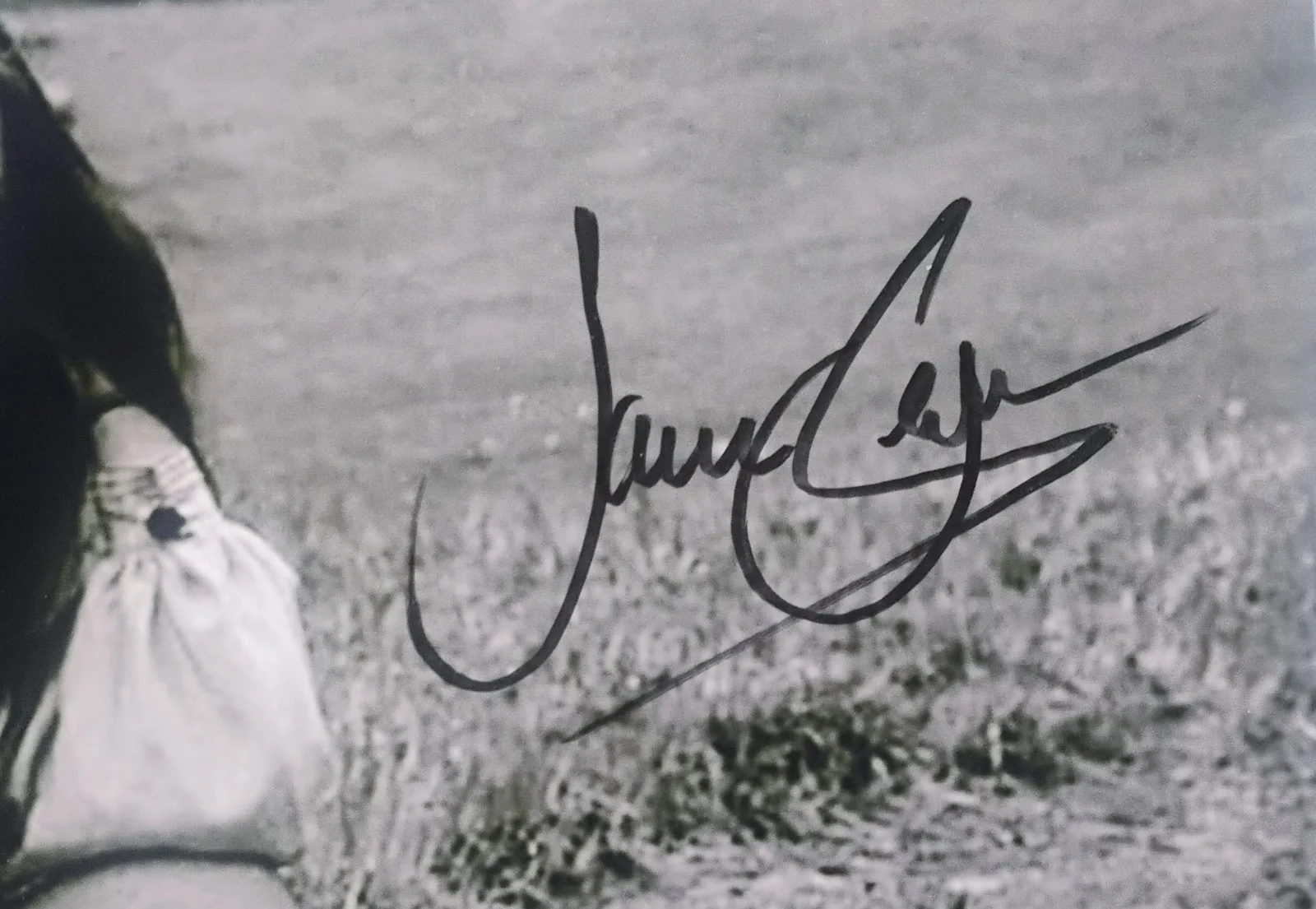 Jane Seymour Hand Signed Autograph 8x10 Photo COA - NO US TARIFFS, image 3