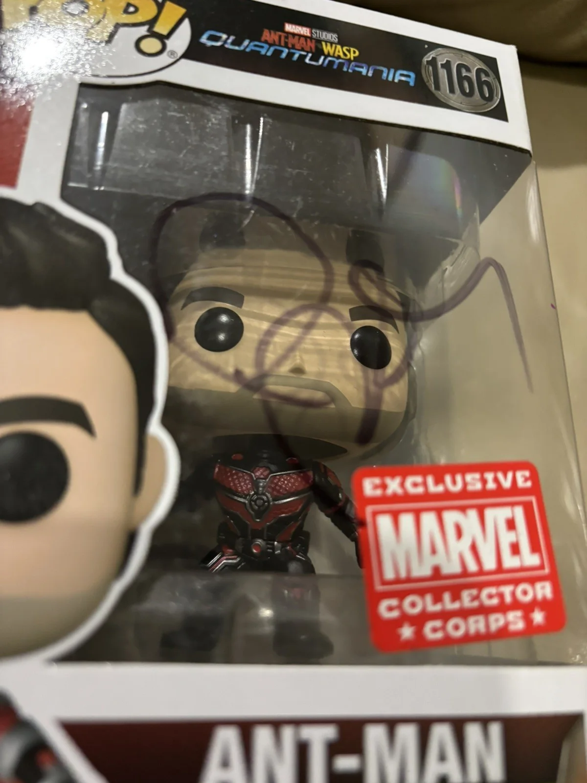 Paul Rudd — Ant-Man Funko Pop Signed by Paul Rudd with Exact Proof (Avengers Quantumania), изображение 2