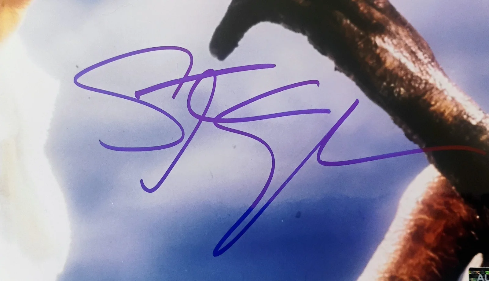 Steven Spielberg Hand Signed Autograph 8x10 Photo JSA COA - NO US TARIFFS, изображение 3