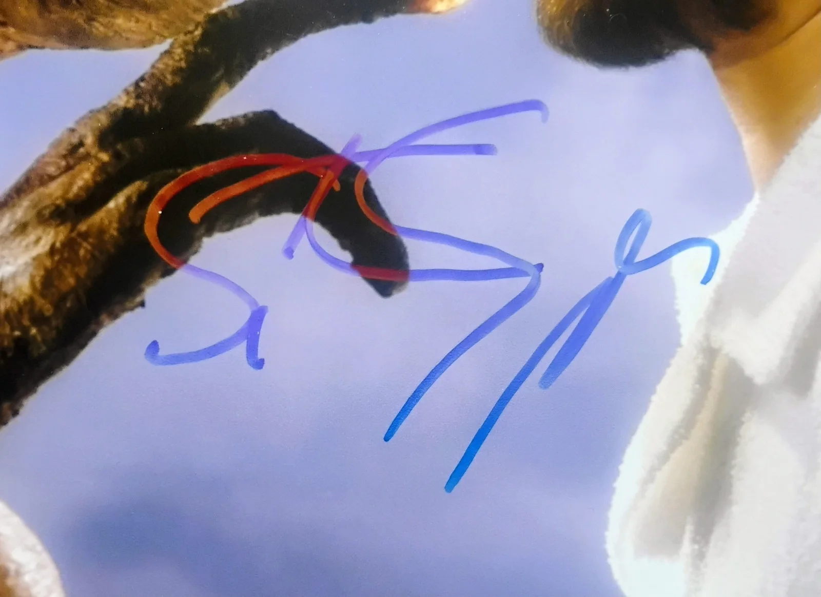 Steven Spielberg Hand Signed 8x10 Photo COA E.T. The Extra-Terrestrial, image 3