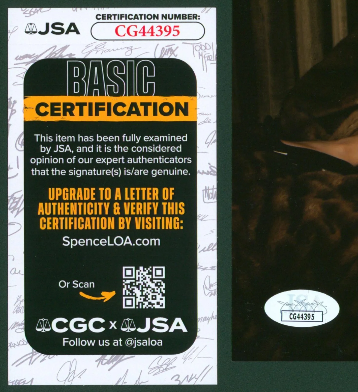 Mandy Moore — MANDY MOORE Signed 8x10 Sexy Black Lingerie Image Photo Rebecca This Is Us JSA, image 2