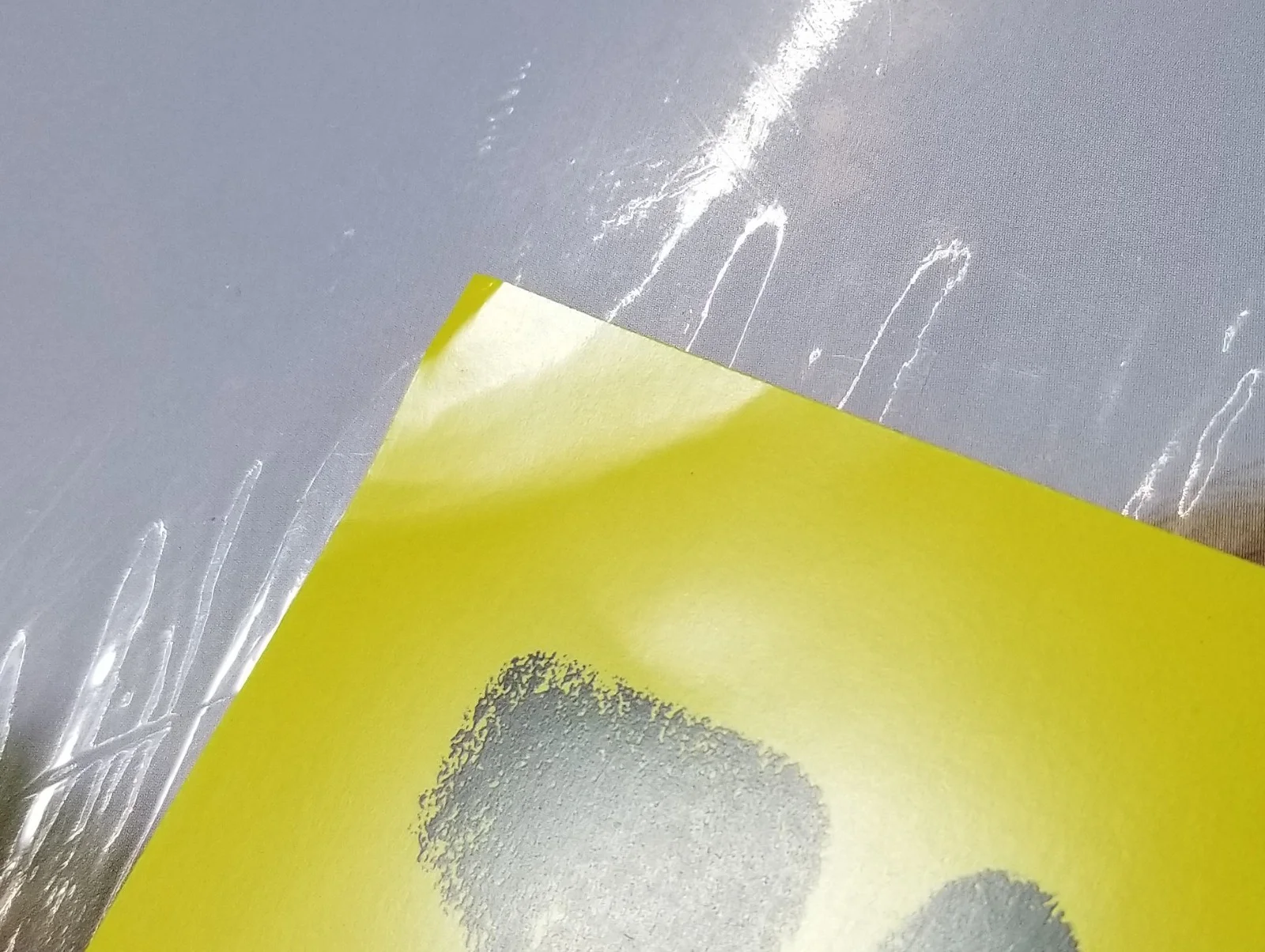 Taylor Acorn New Yellow Vinyl + REAL hand SIGNED poster insert #2 COA Autograph, изображение 2
