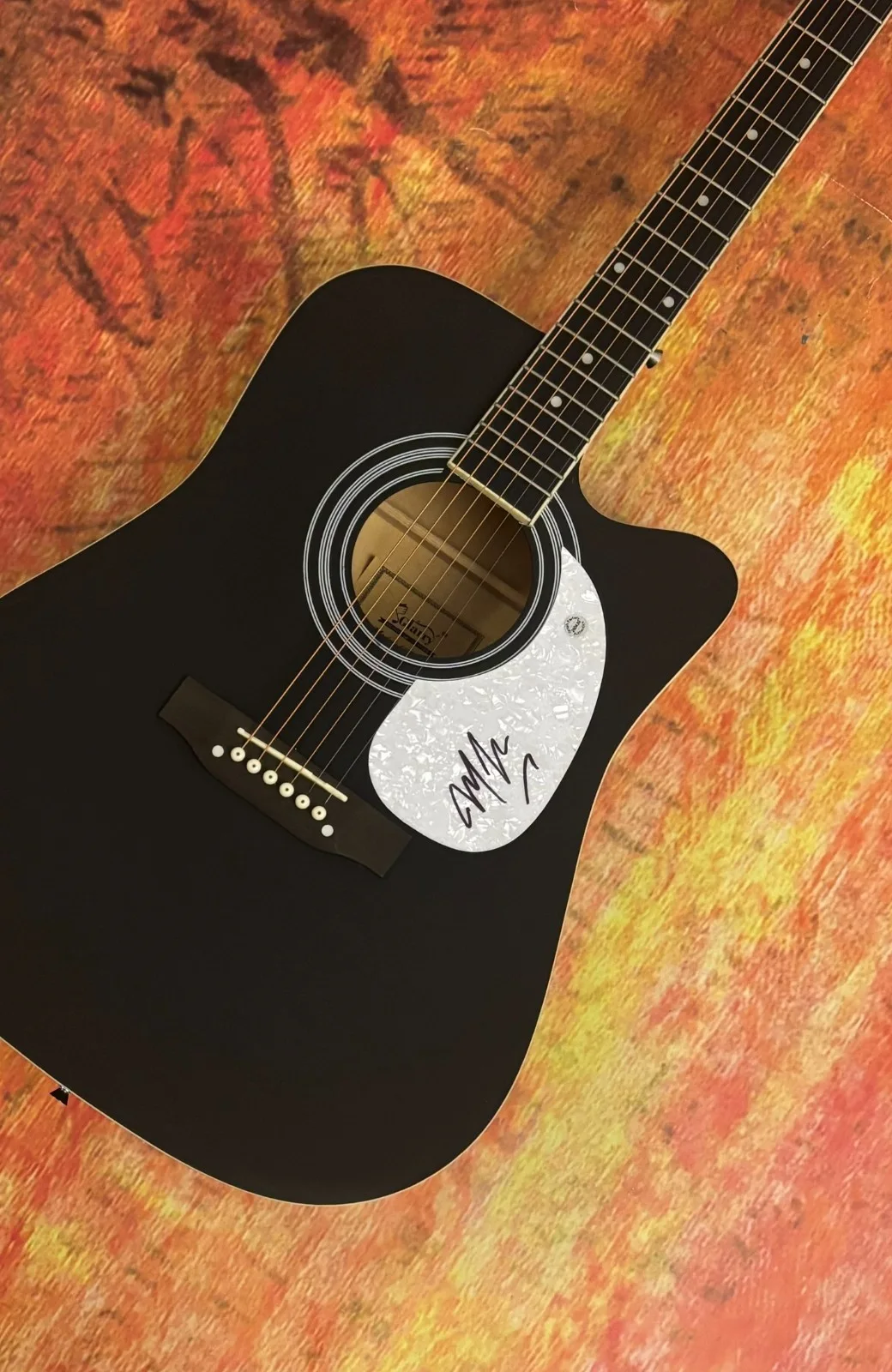 GFA Wildflowers & Wine Star * MARCUS KING * Signed 41" Acoustic Guitar COA, изображение 3